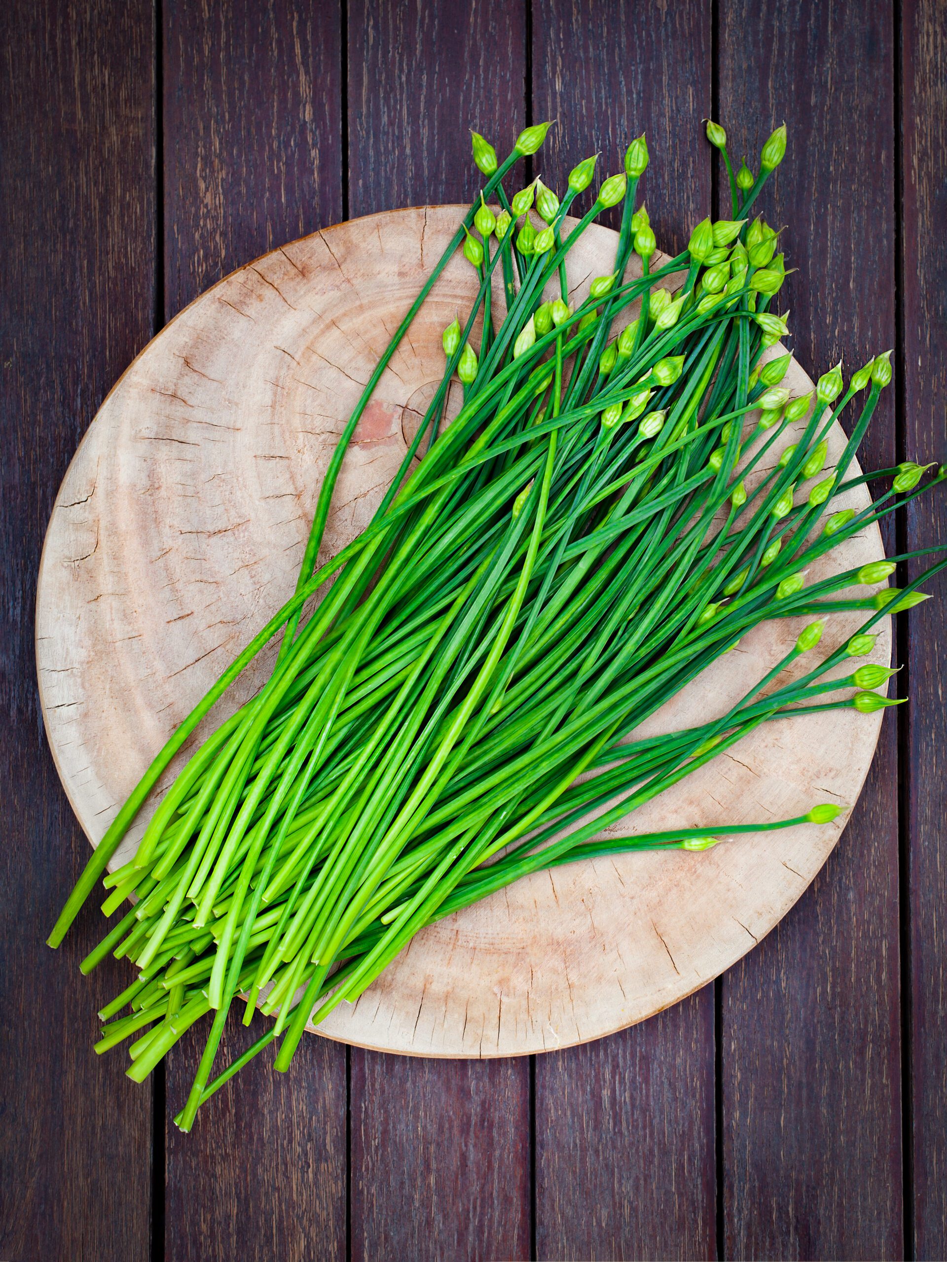 Mature Flat Garlic Chives Leaves Ready for Harvest