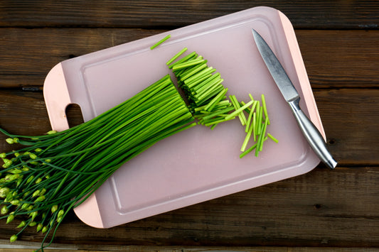 Chinese Leek Garlic Chives Allium Tuberosum Non-GMO Seeds