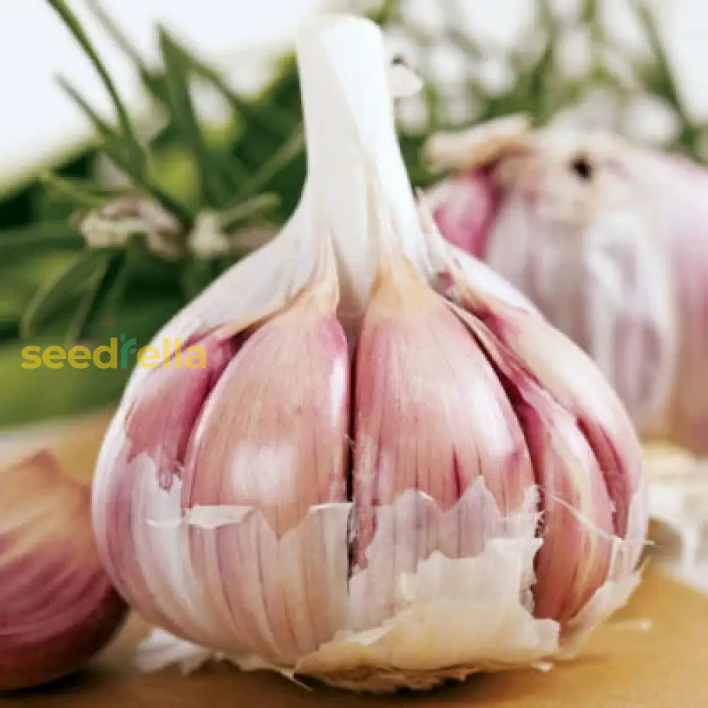 Garlic Vegetable Seeds For Planting: Add Exotic Charm To Your Garden Herb