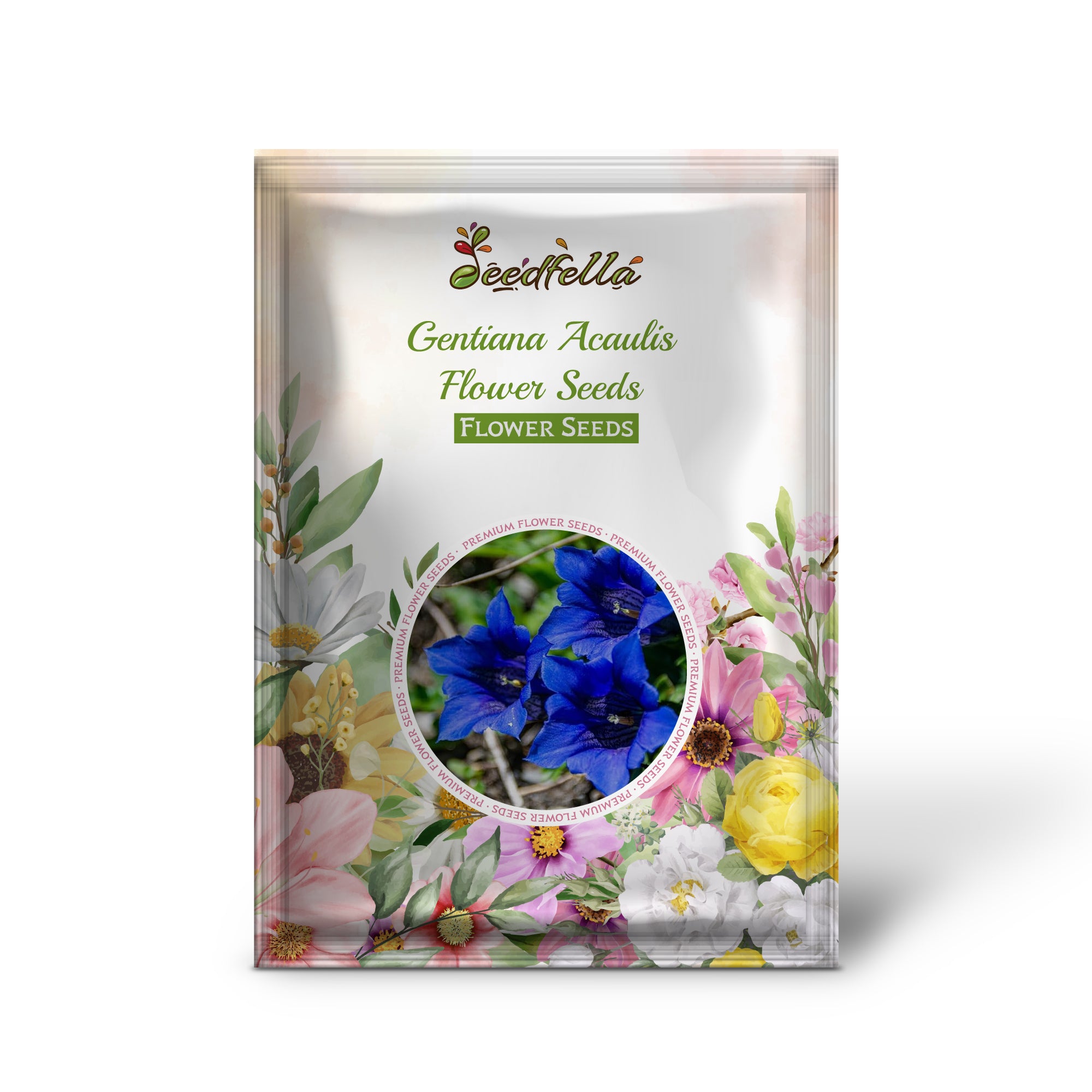 Blue Gentiana Acaulis Trumpet Blooms Close-Up