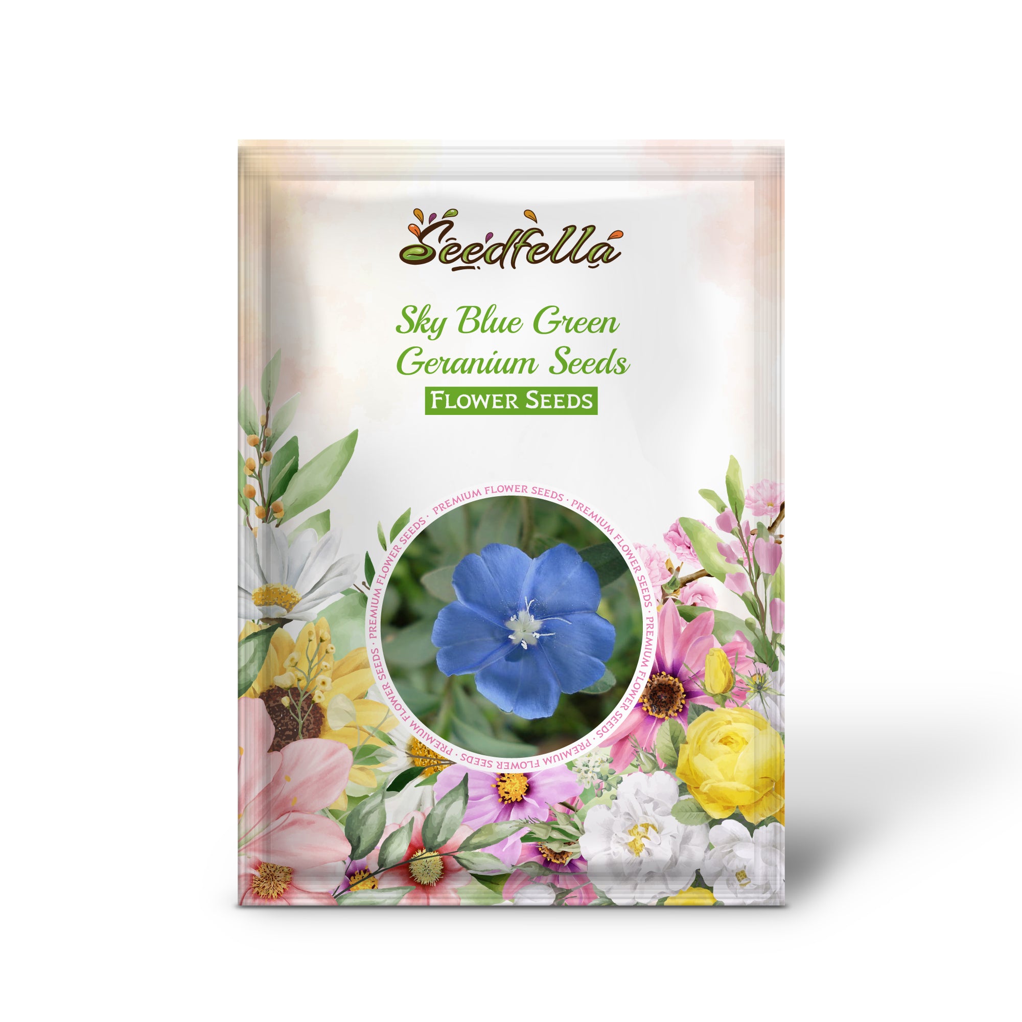 Sky blue geranium seeds germination seedlings