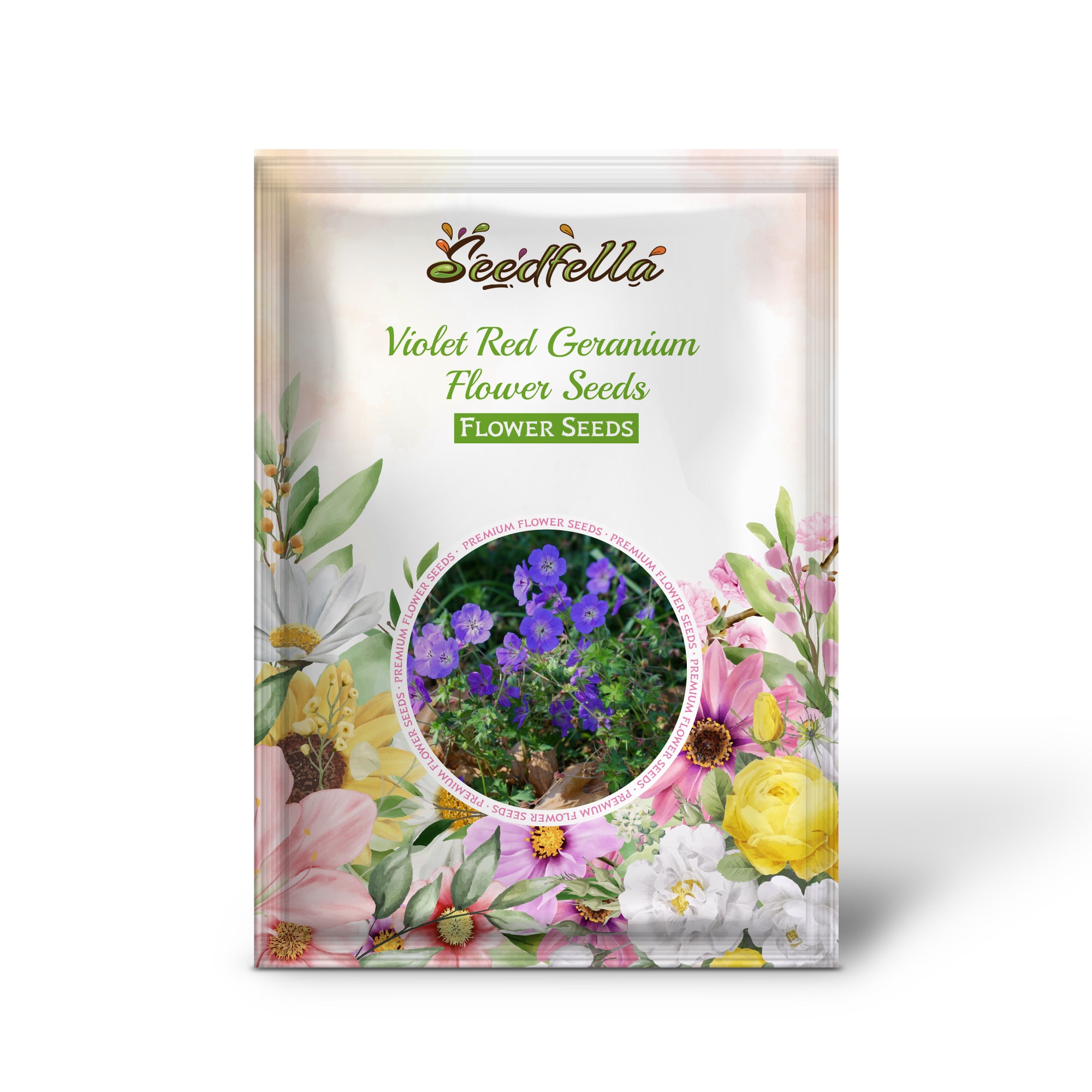 Violet red geranium seeds germinating into seedlings