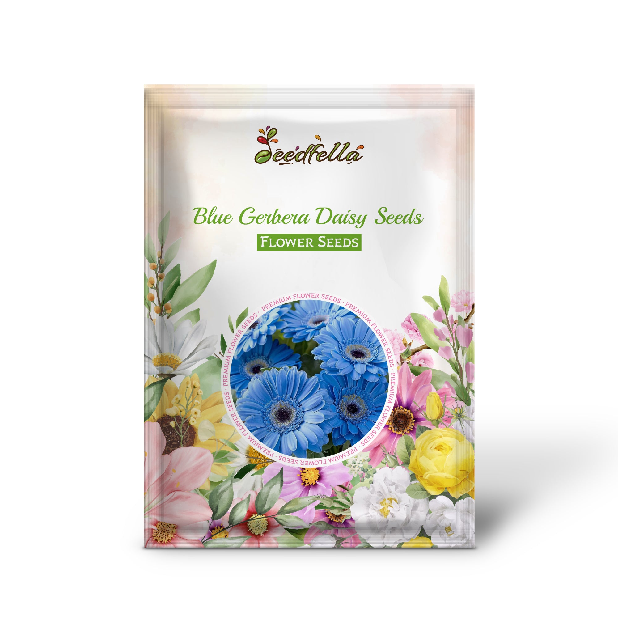 Close-up of vibrant blue Gerbera Daisy bloom