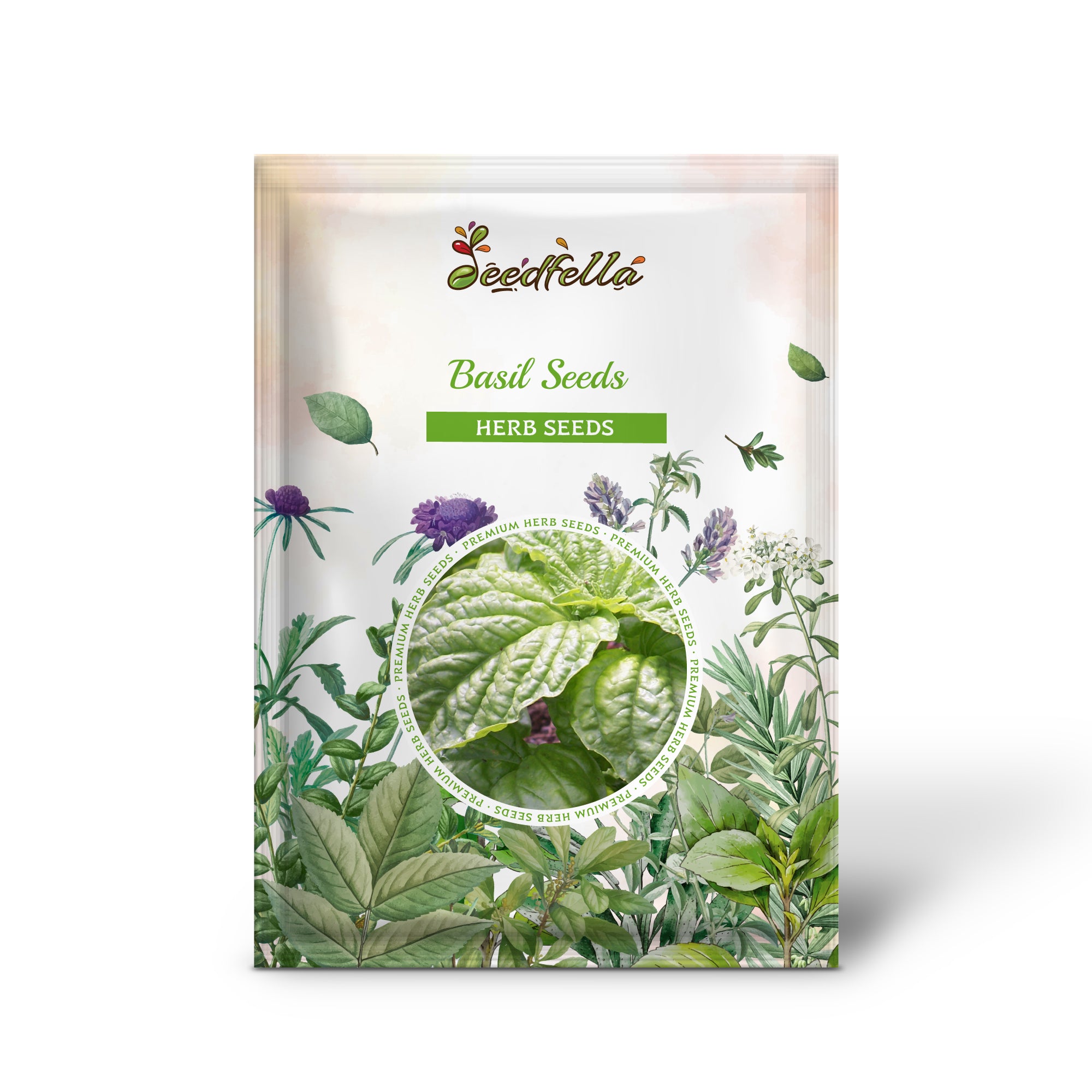 Heirloom Mammoth Leaf Basil seeds with oversized green leaves