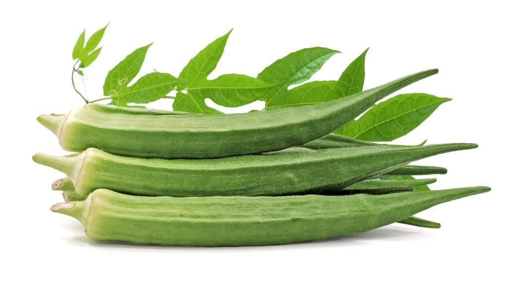 Giant okra seeds for home garden and urban gardening
