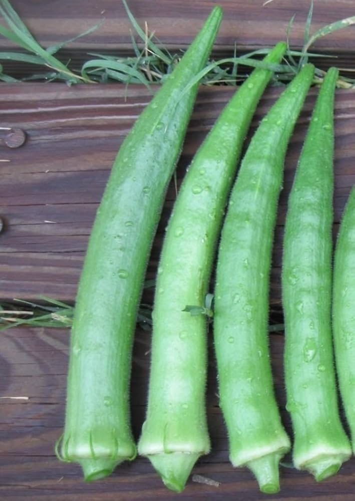 Giant okra seeds for planting non GMO high yield variety