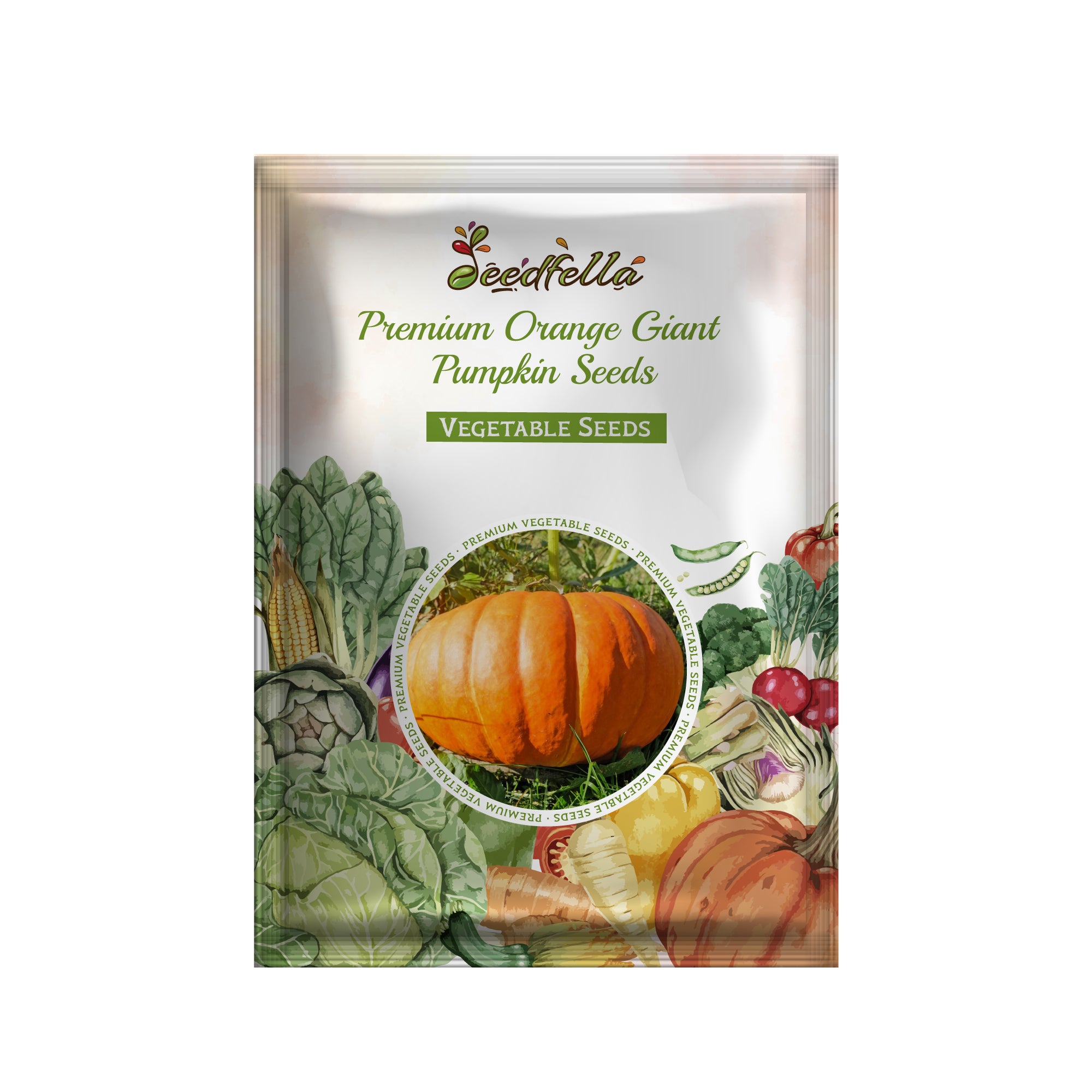 Giant pumpkin seeds orange variety for home garden