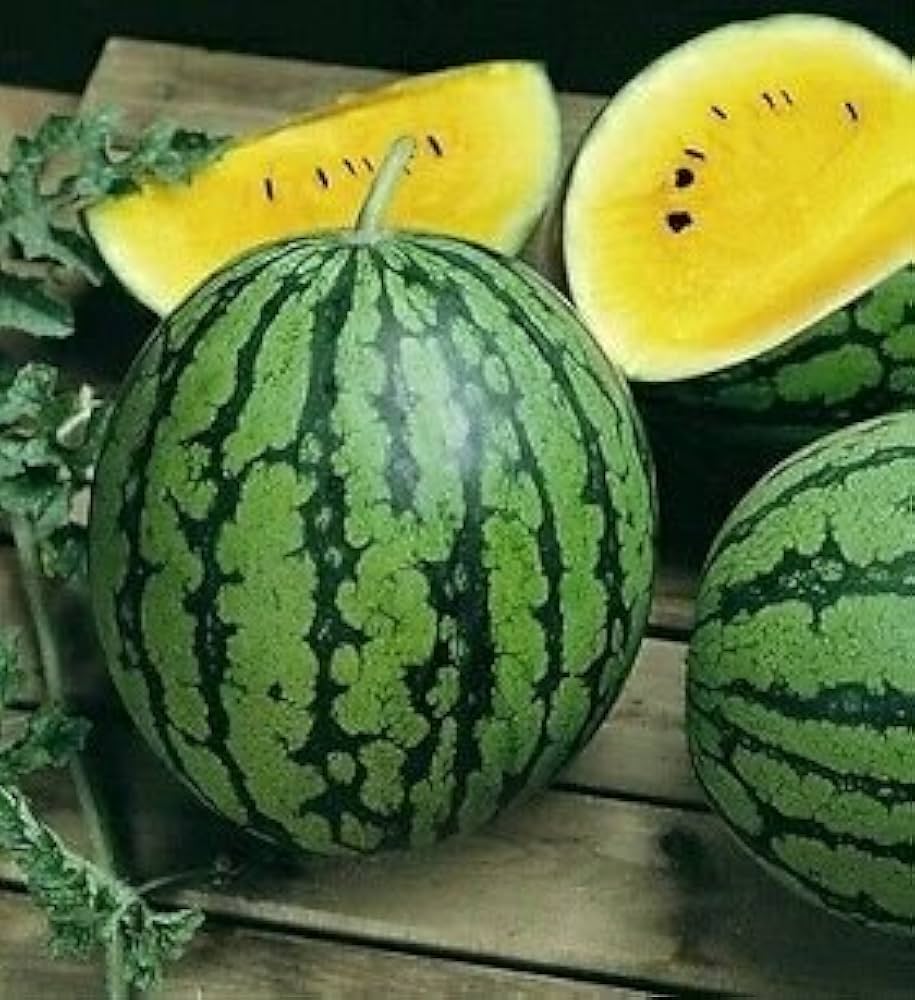 Giant watermelon seeds for planting Non-GMO large watermelon seeds