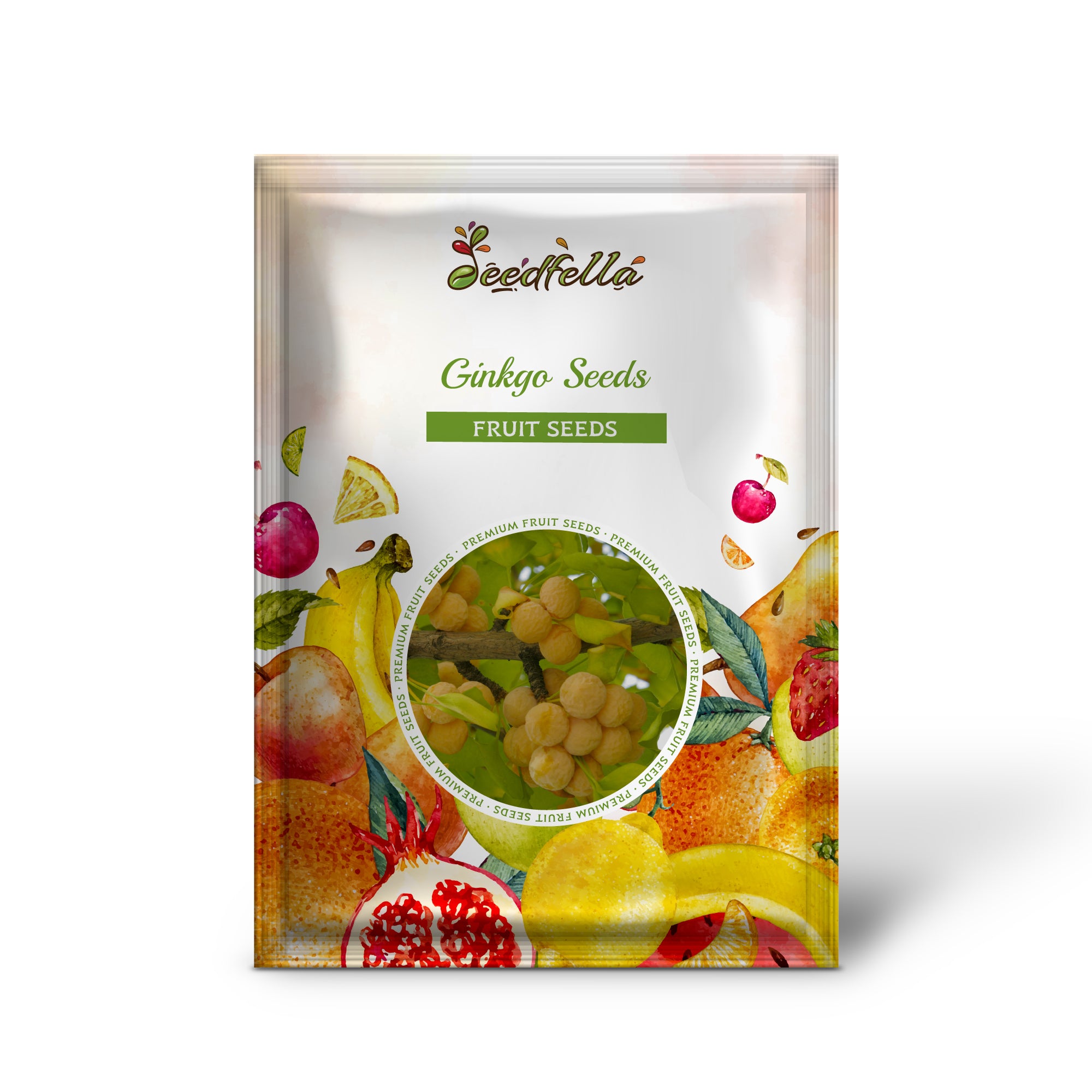 Harvested Ginkgo Seeds, Unique Seeds Ready for Planting