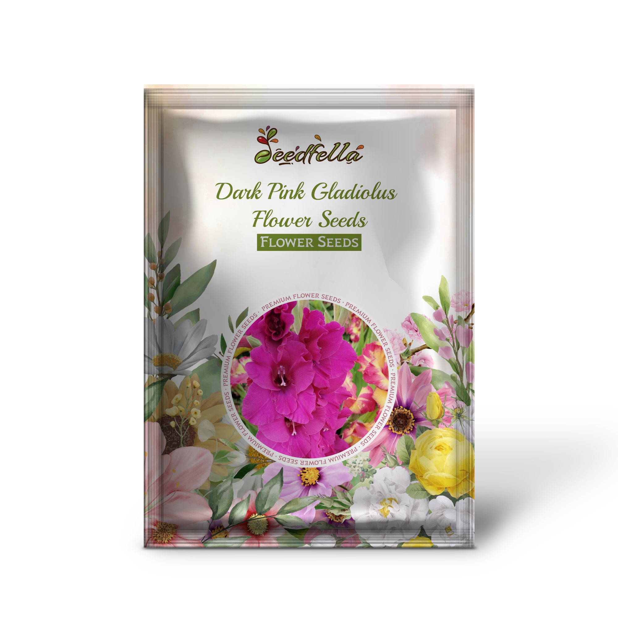 Gladiolus Dark Pink Flowers in Full Bloom