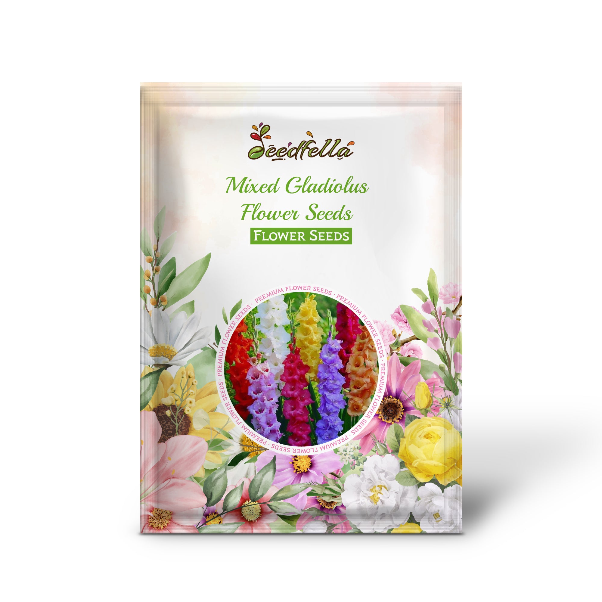 Mixed Gladiolus flowers in vibrant colors