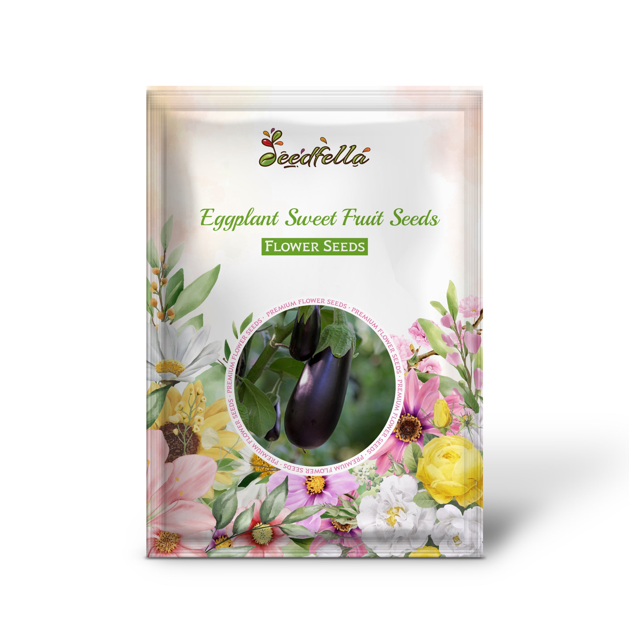 Glossy Purple Eggplants Grown from Sweet Fruit Seeds