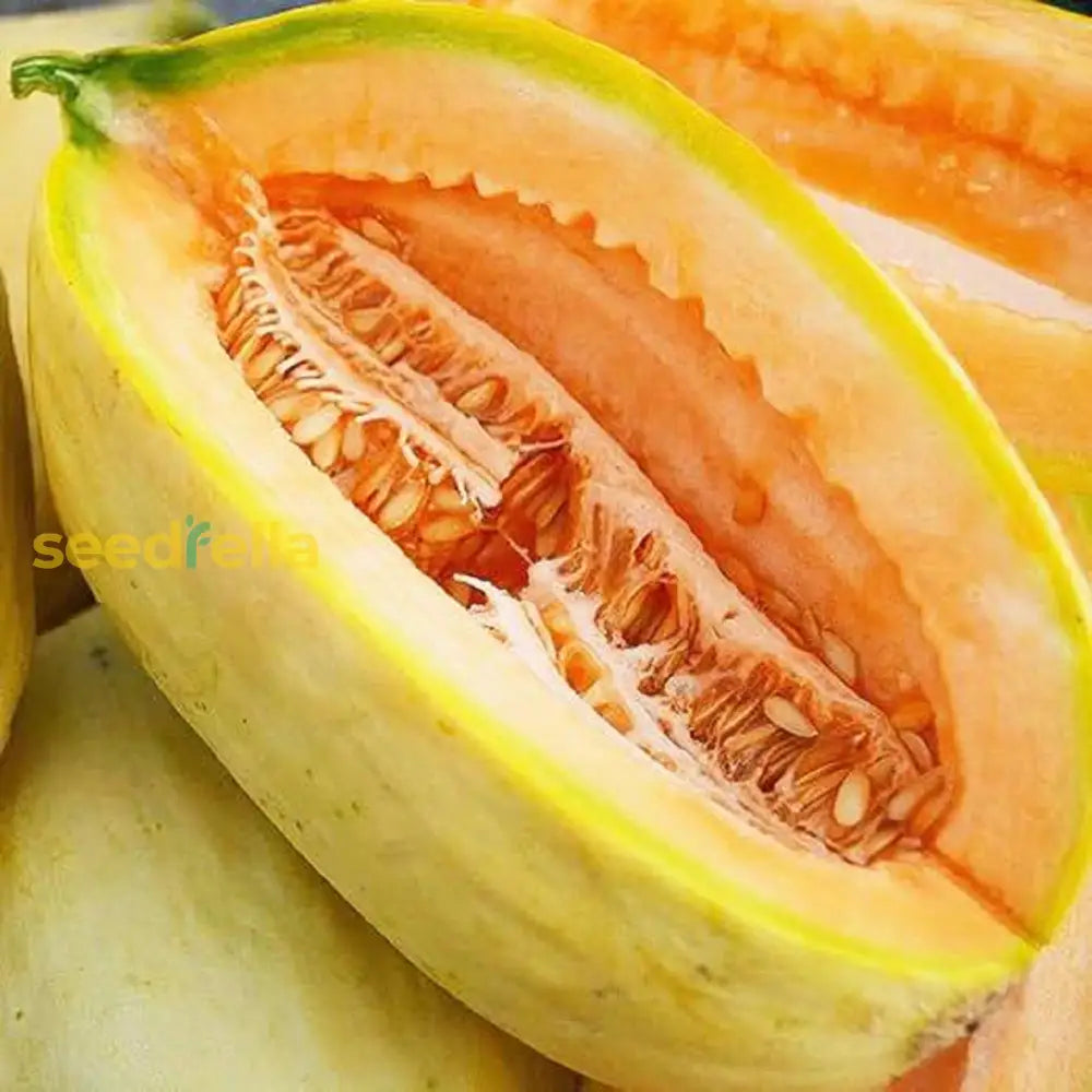 Gold Banana Melon Seeds For Planting  Premium Fruit