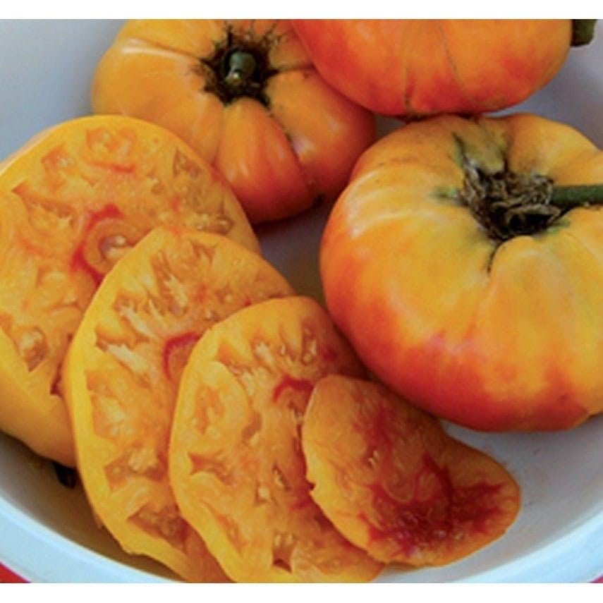 Gold Medal Yellow tomato seeds for planting