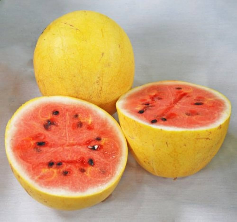 Closeup of rind from Golden Pioneer Hybrid Watermelon Seeds