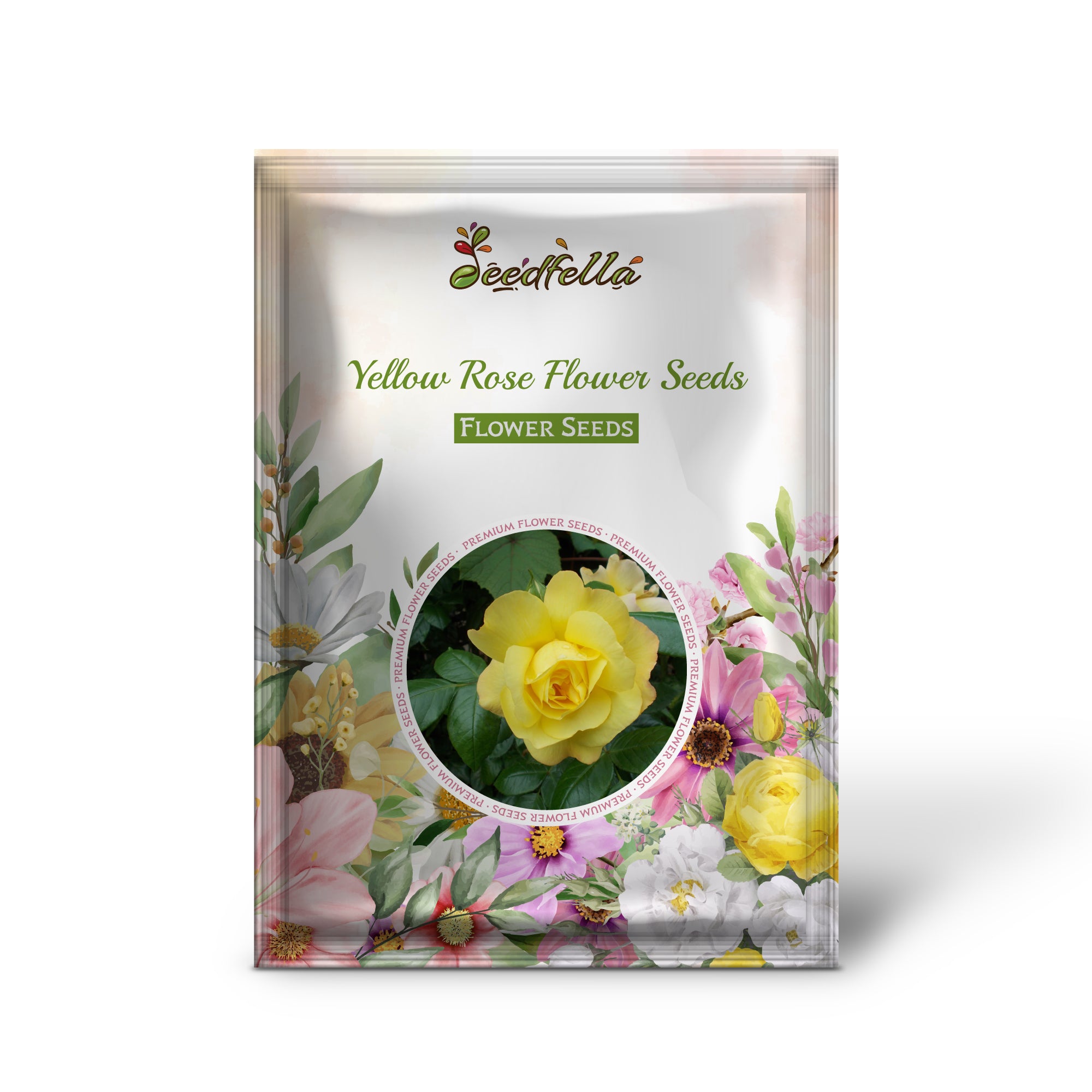 Golden Yellow Rose Bloom in Full Sun