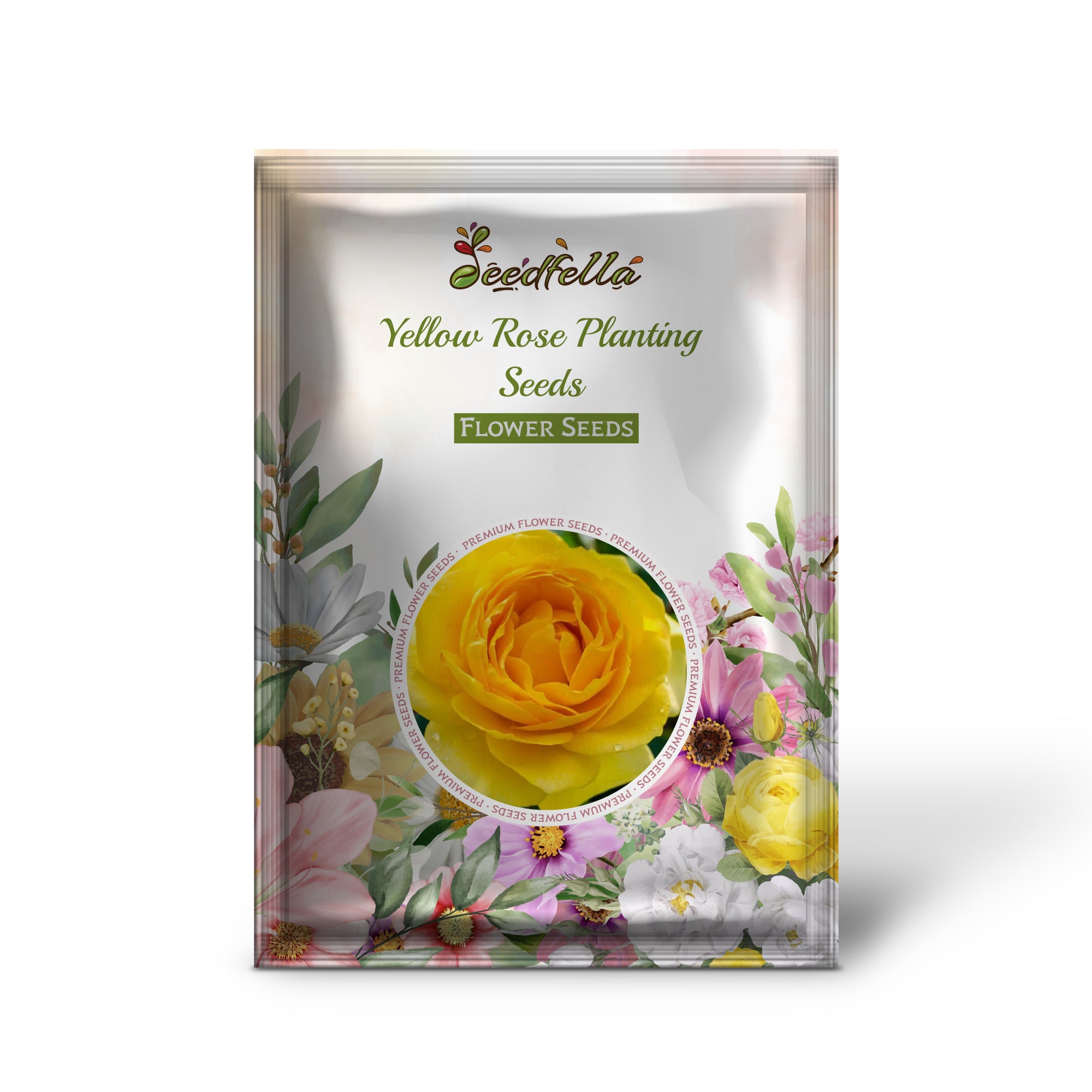 Golden Yellow Rose Blooms in Garden