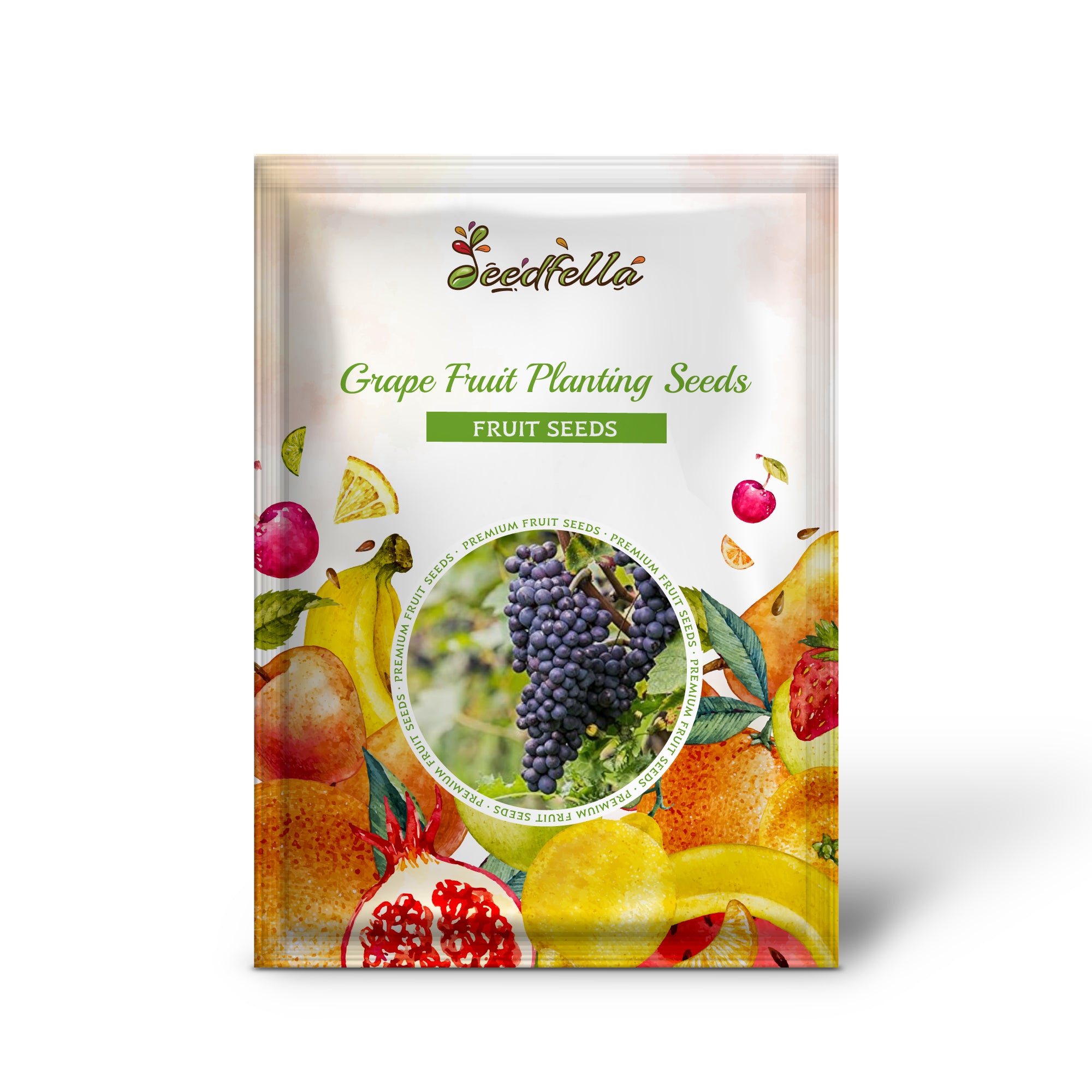 Grapefruit Tree Seedlings Growing Indoors