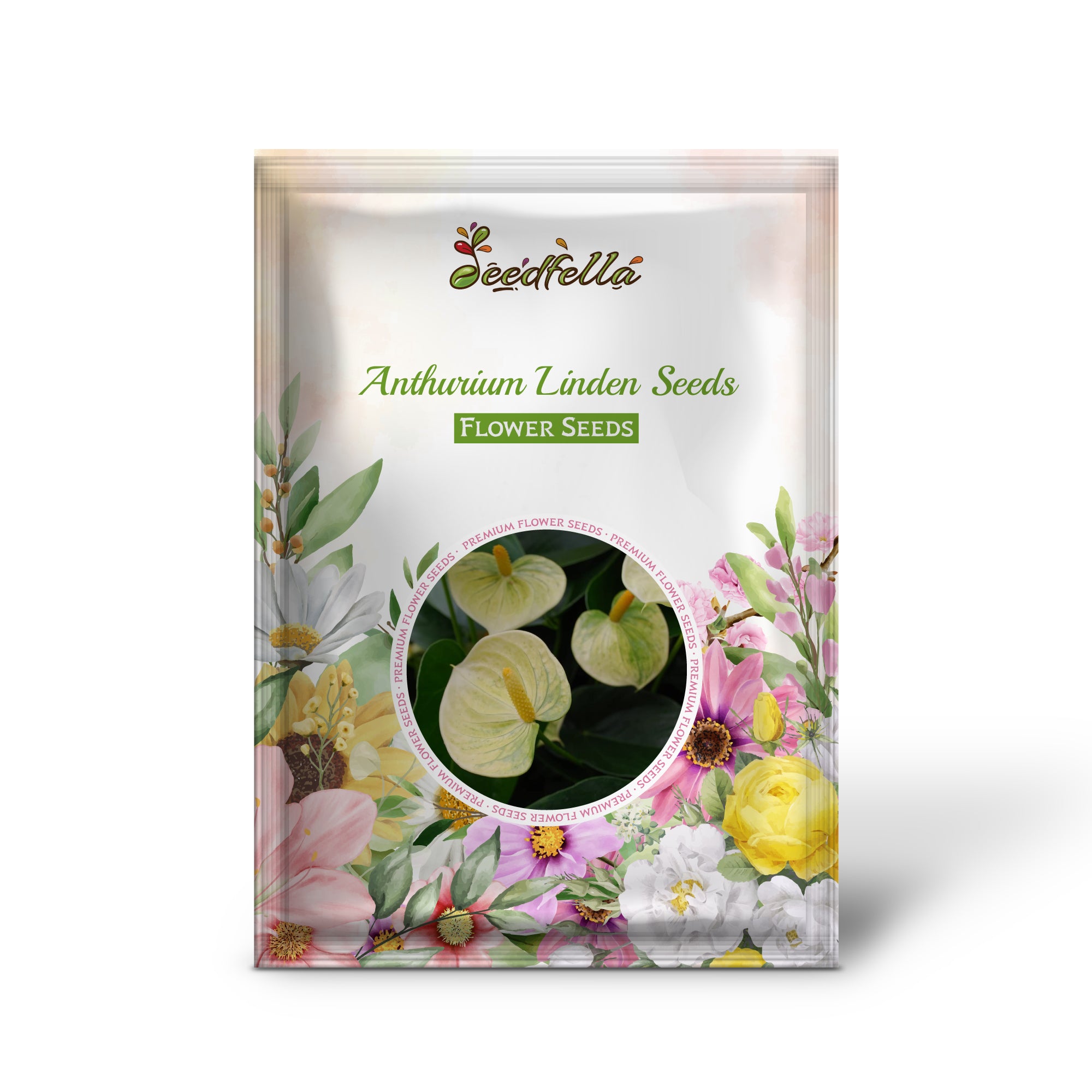 Green Anthurium Linden Flower Seeds for Planting