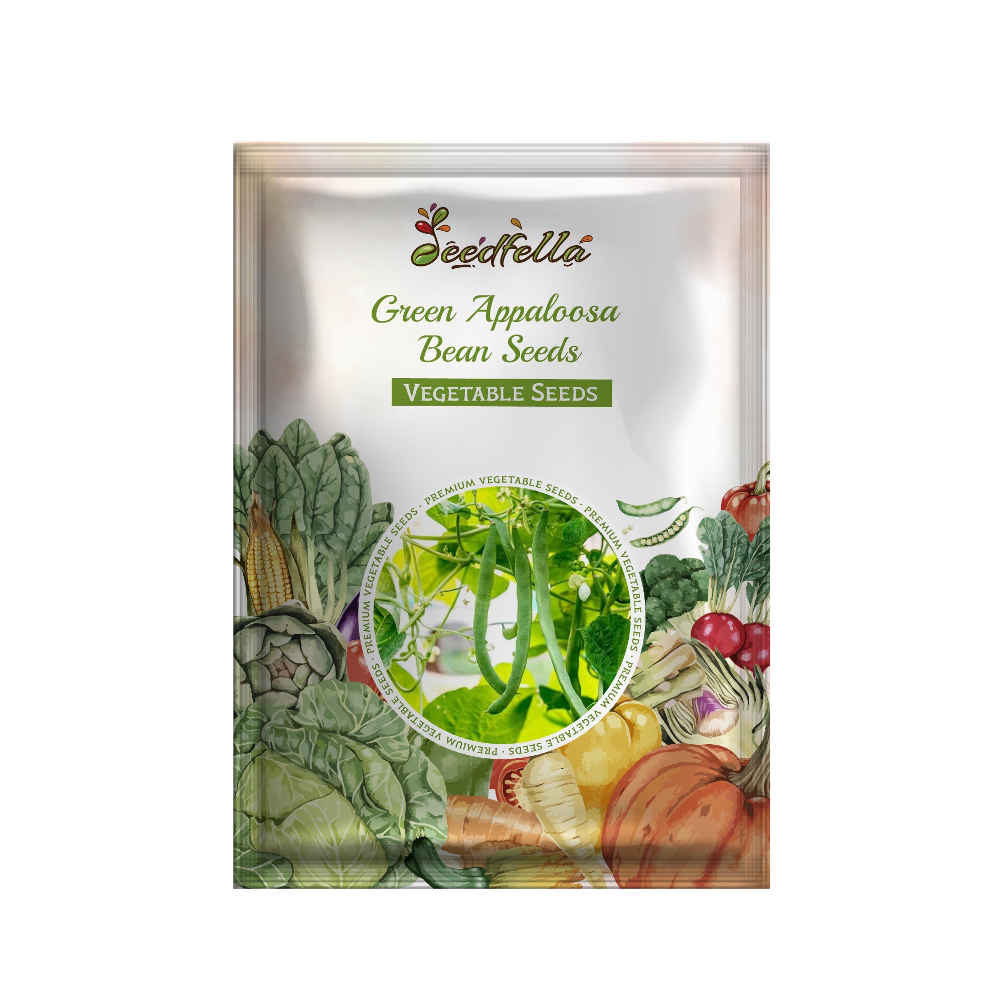 Green Appaloosa Bean seedlings sprouting in soil