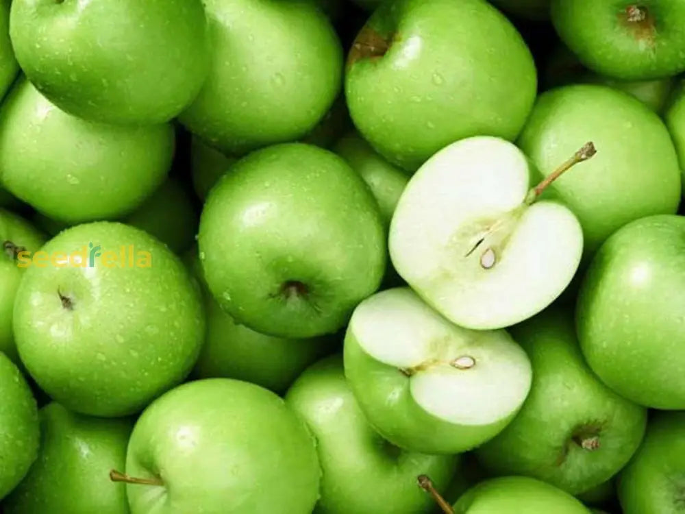 Green Apple Fruit Seeds For Planting | Grow Your Own Tree