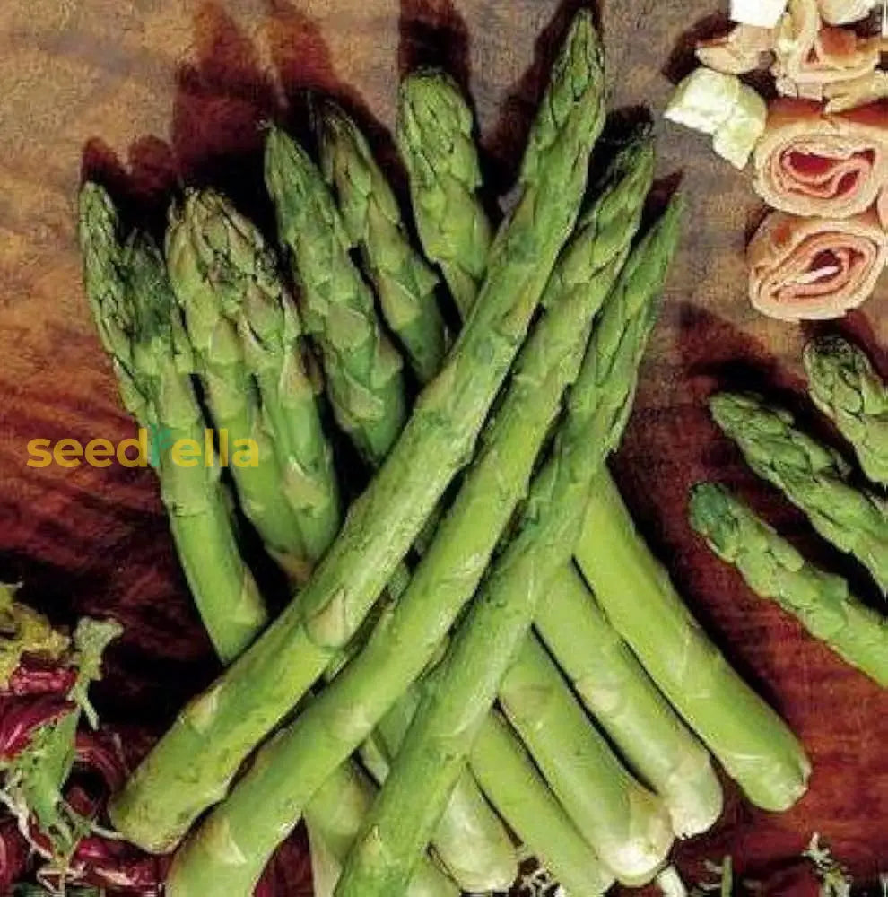 Green Asparagus Mary Washington Seeds For Perennial Planting Plant Seeds