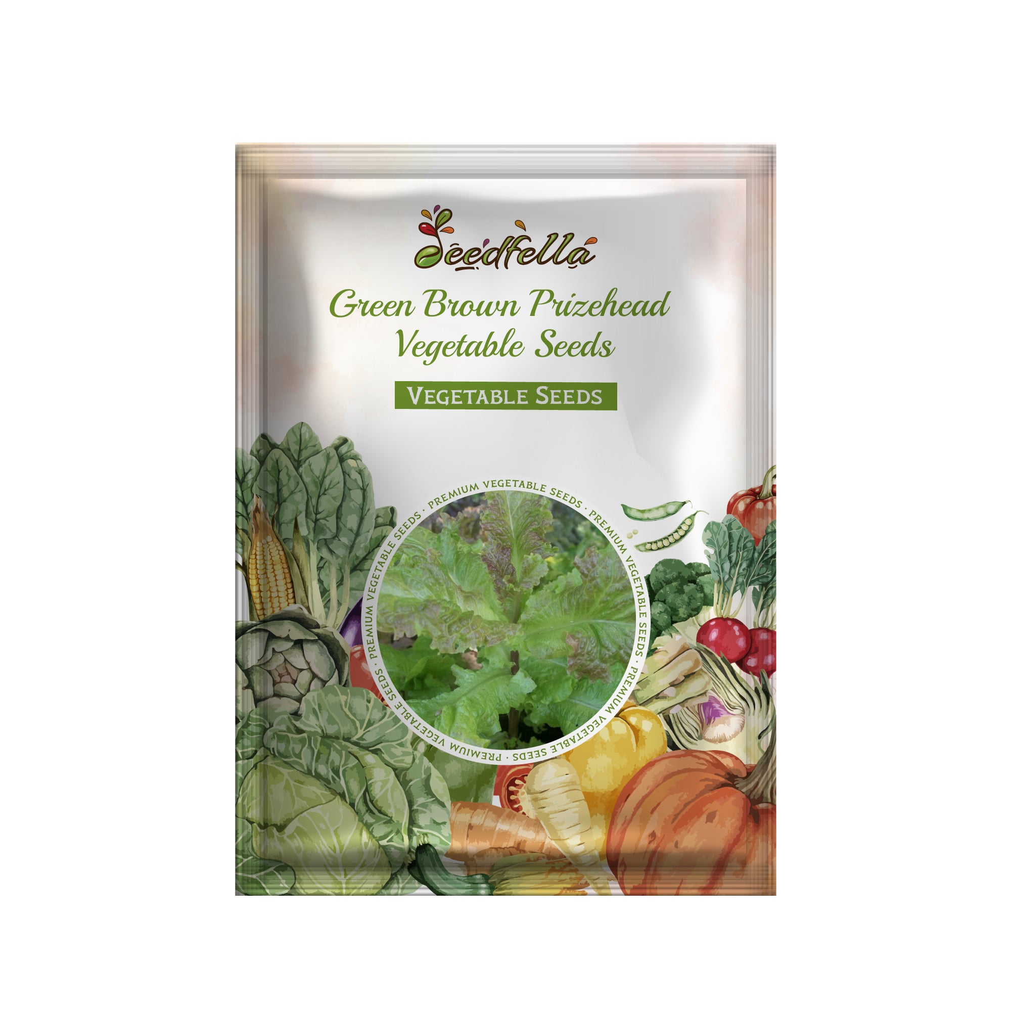 Green Brown Prizehead plants growing in a garden