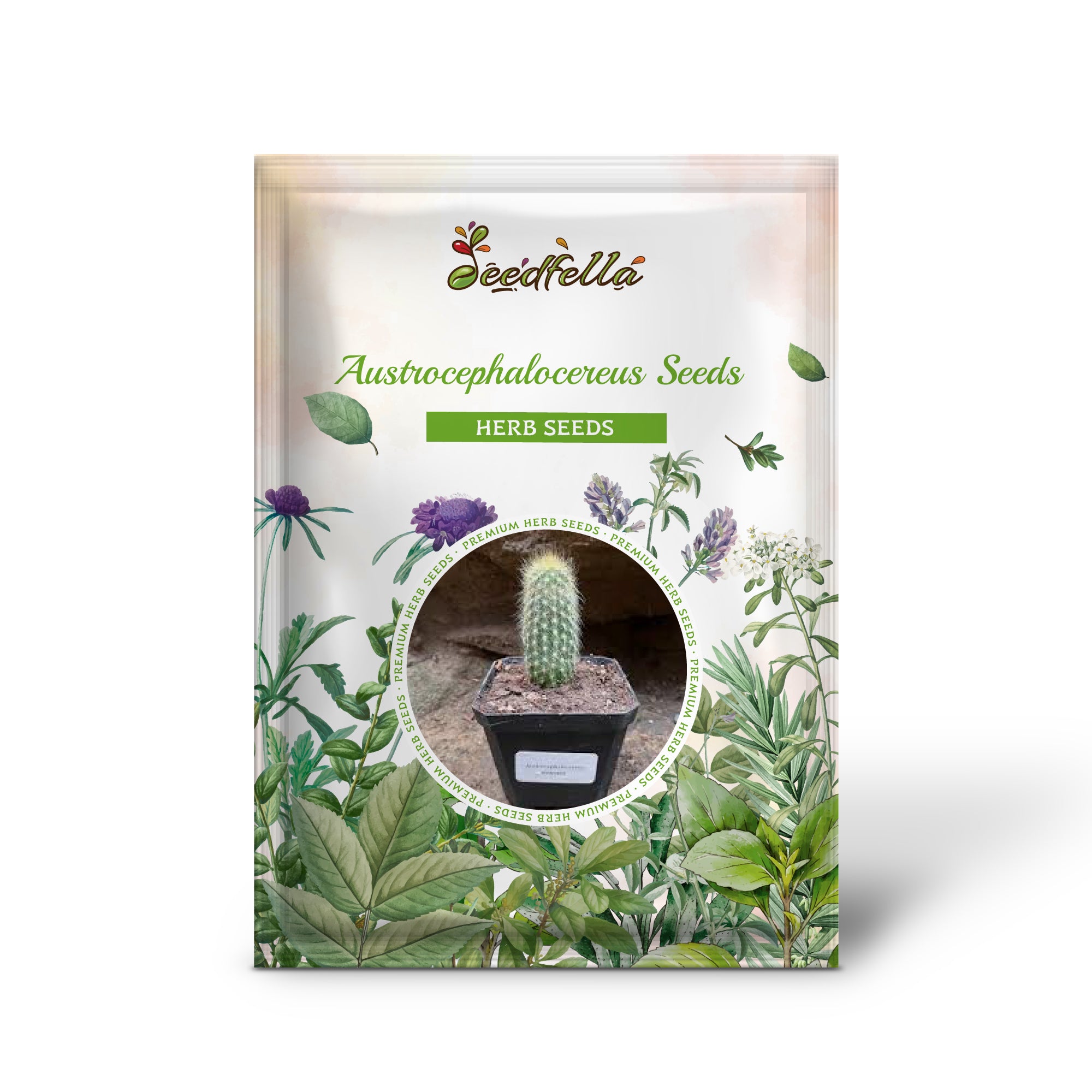 Green Cactus Seeds – Non-GMO Austrocephalocereus for Desert Gardens