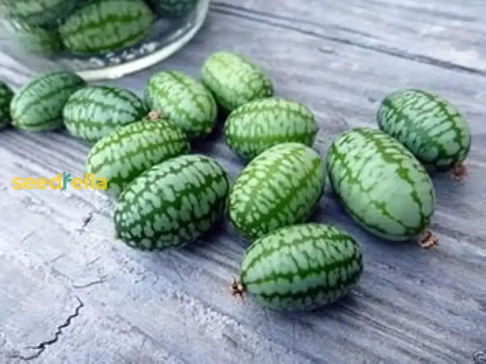 Green Gherkin Watermelon Seeds For Planting Fruit