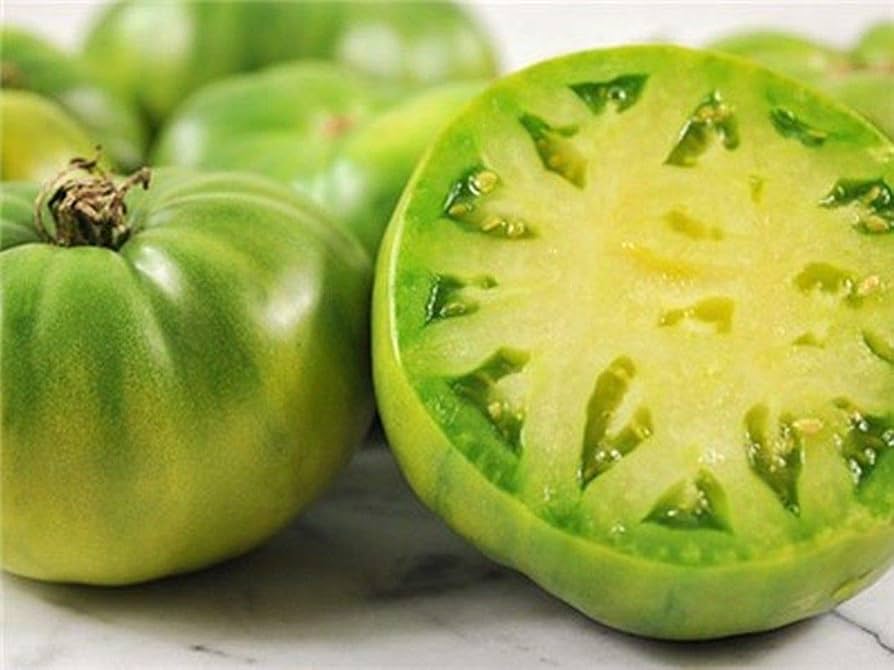 Green Giant heirloom tomato plant with large fruits