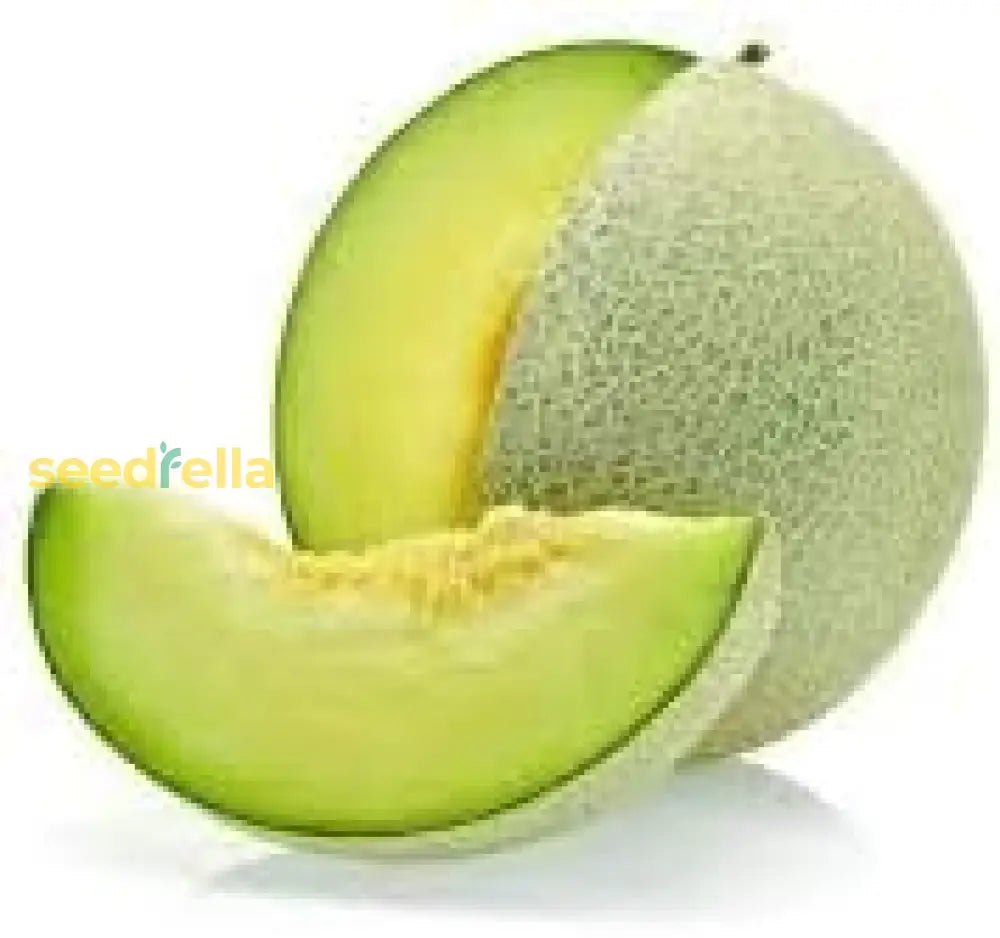 Green Honeydew Melon Seeds For Planting Fruit