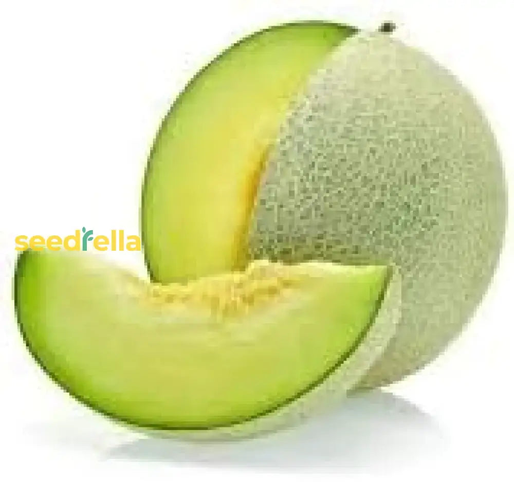 Green Honeydew Melon Seeds For Planting Fruit