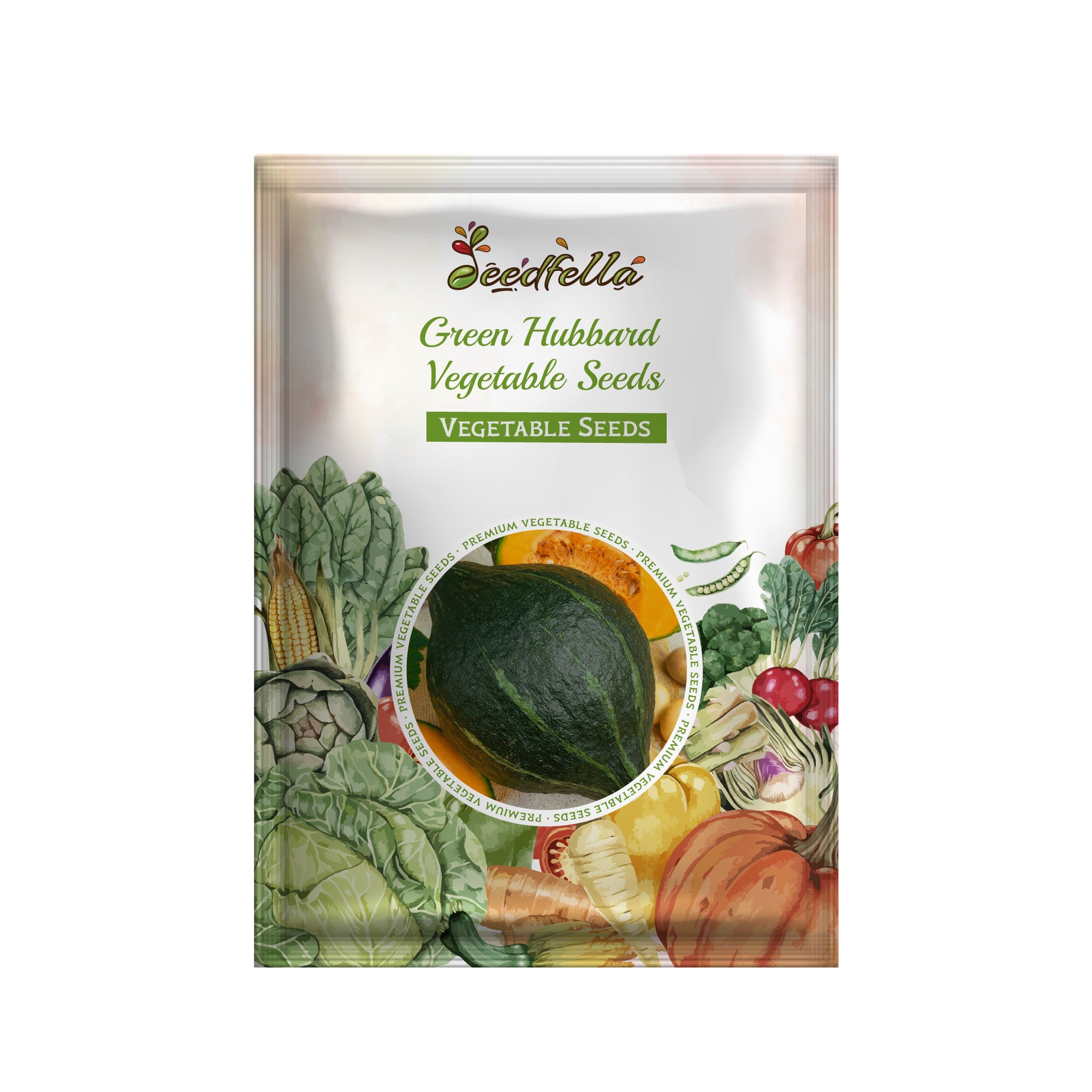 Green Hubbard squash seedlings in soil