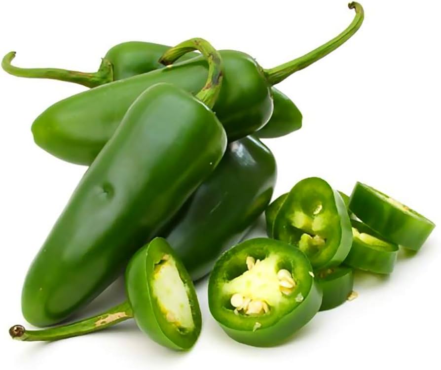 Green jalapeno peppers on plant