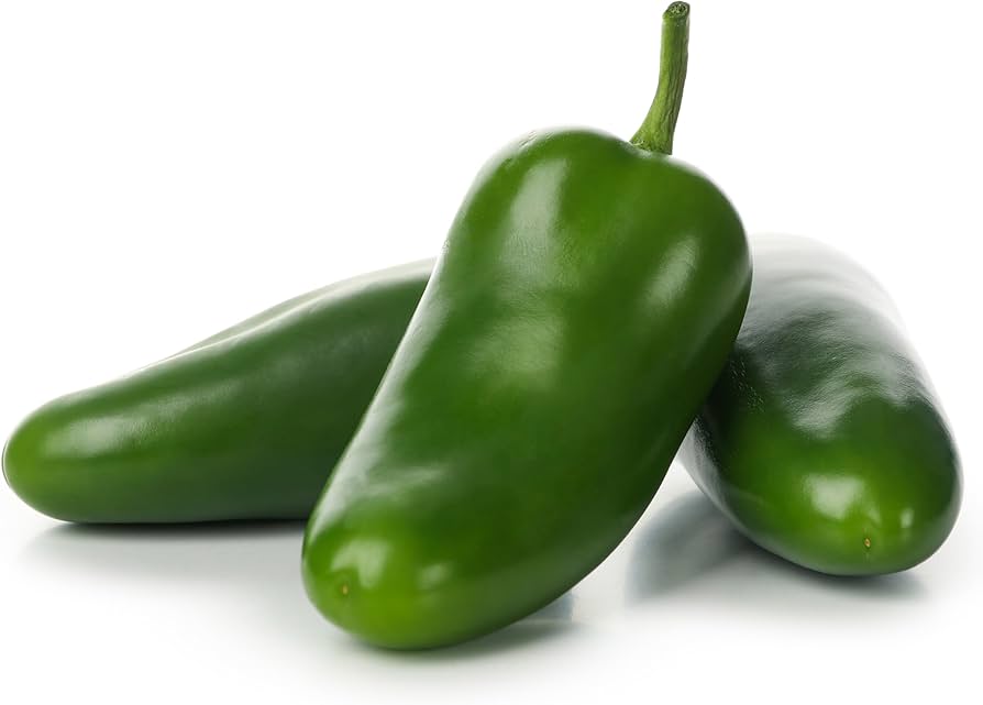 Jalapeno peppers growing on plant