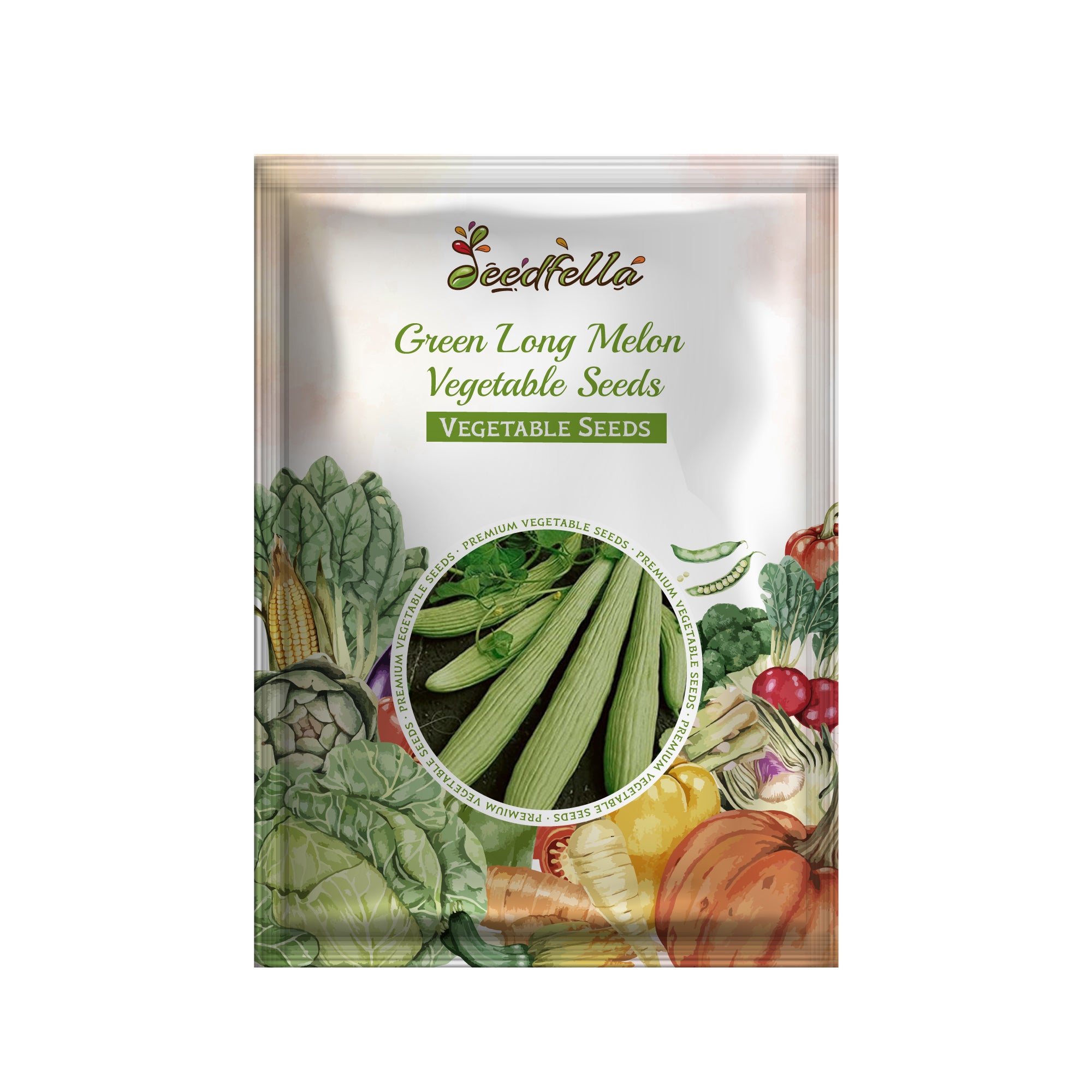 Green Long Melon seedlings sprouting in soil