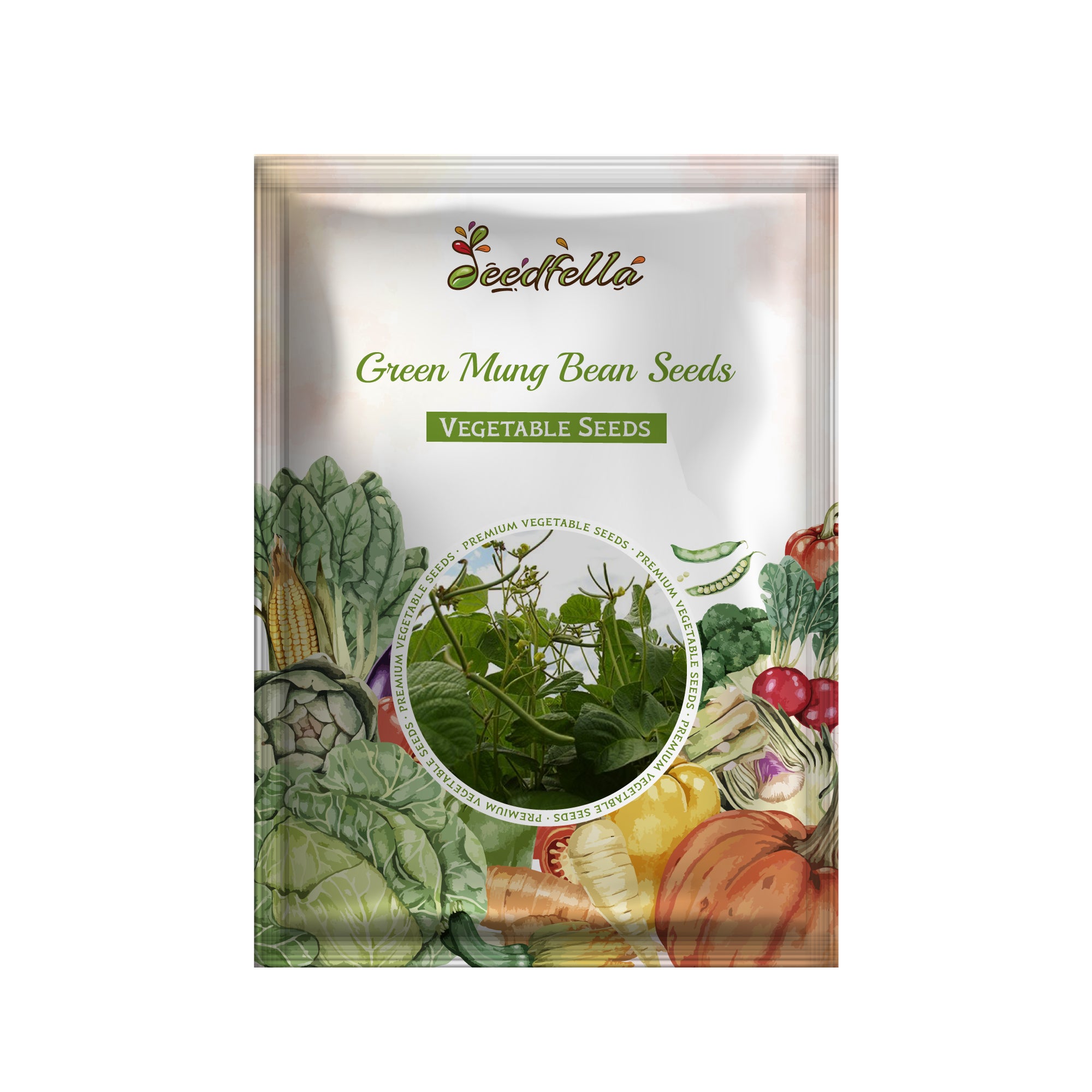 Green Mung Bean seedlings sprouting in soil