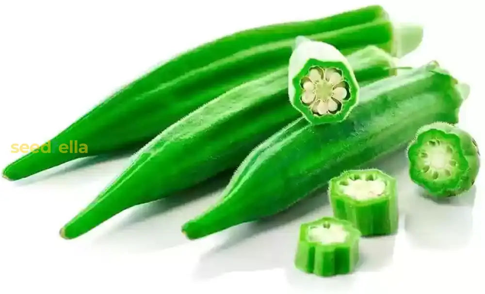 Green Okra Vegetable Seeds For Planting - Cultivate Nutritious A Flavorful Harvest