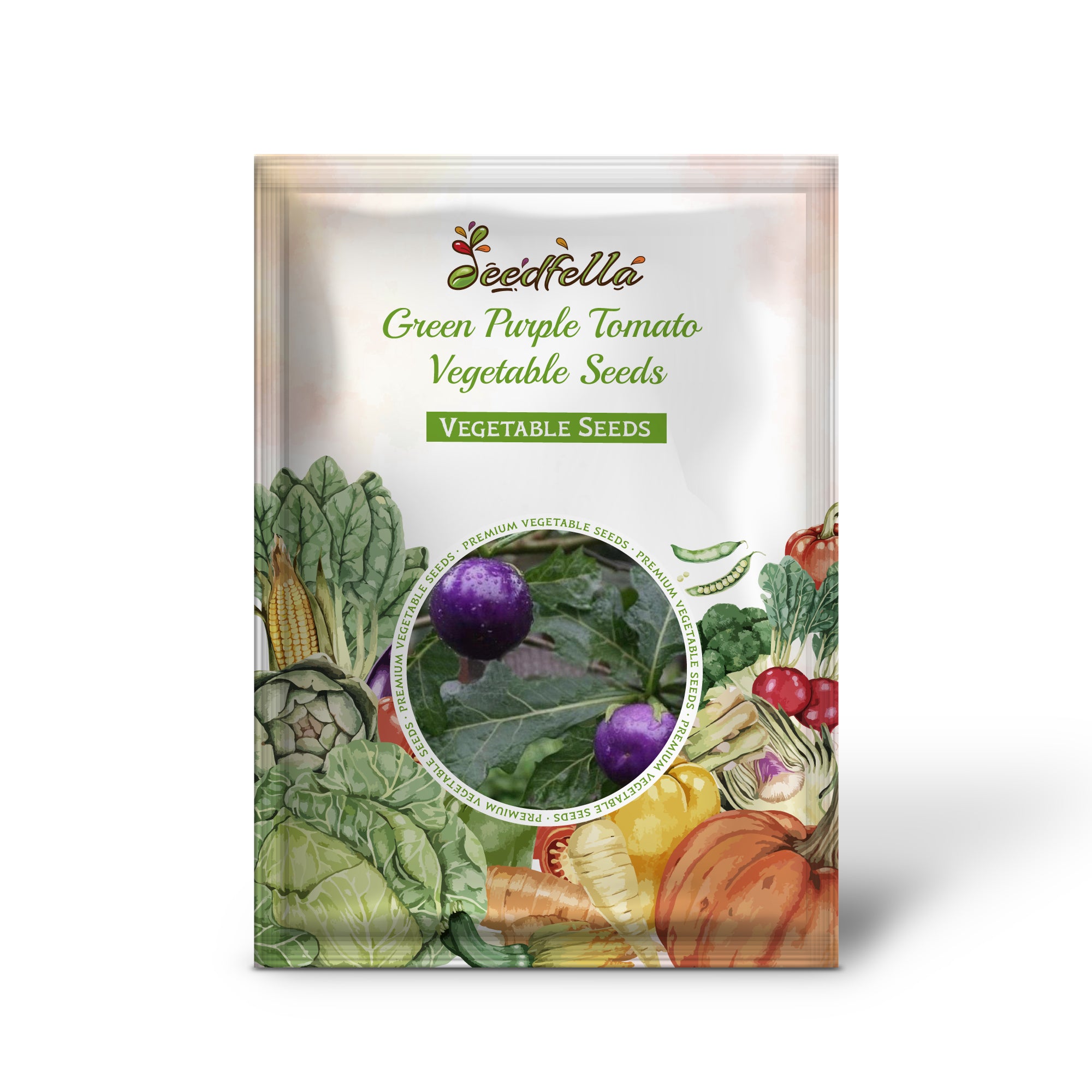 Green Purple Tomato plant growing in garden