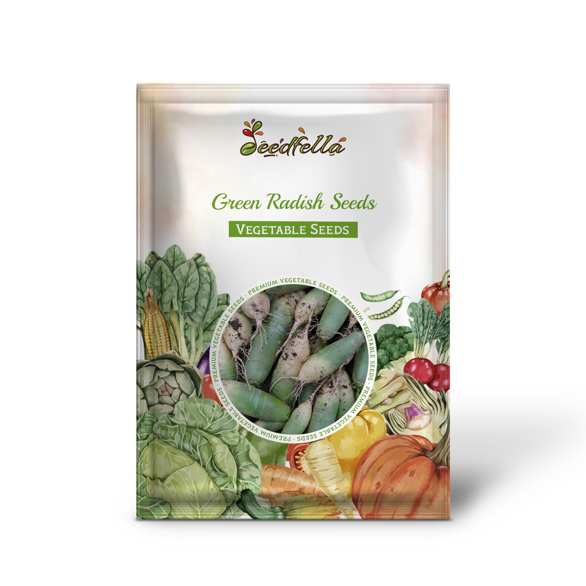 Healthy Green Radish seedlings ready for transplanting