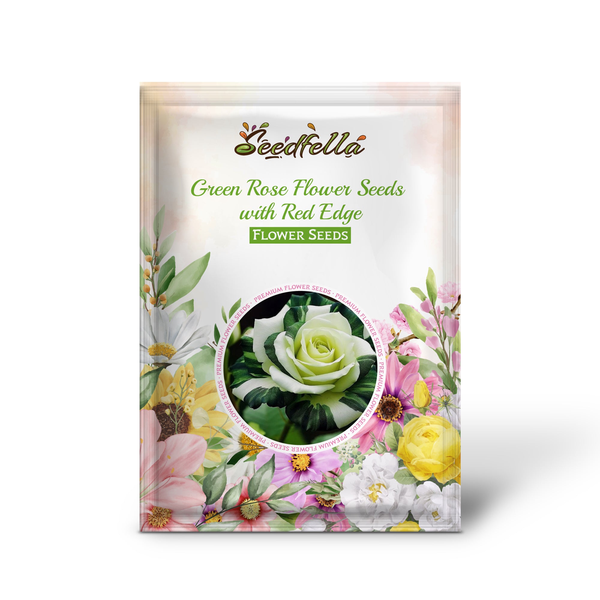 Green rose seeds germination seedlings