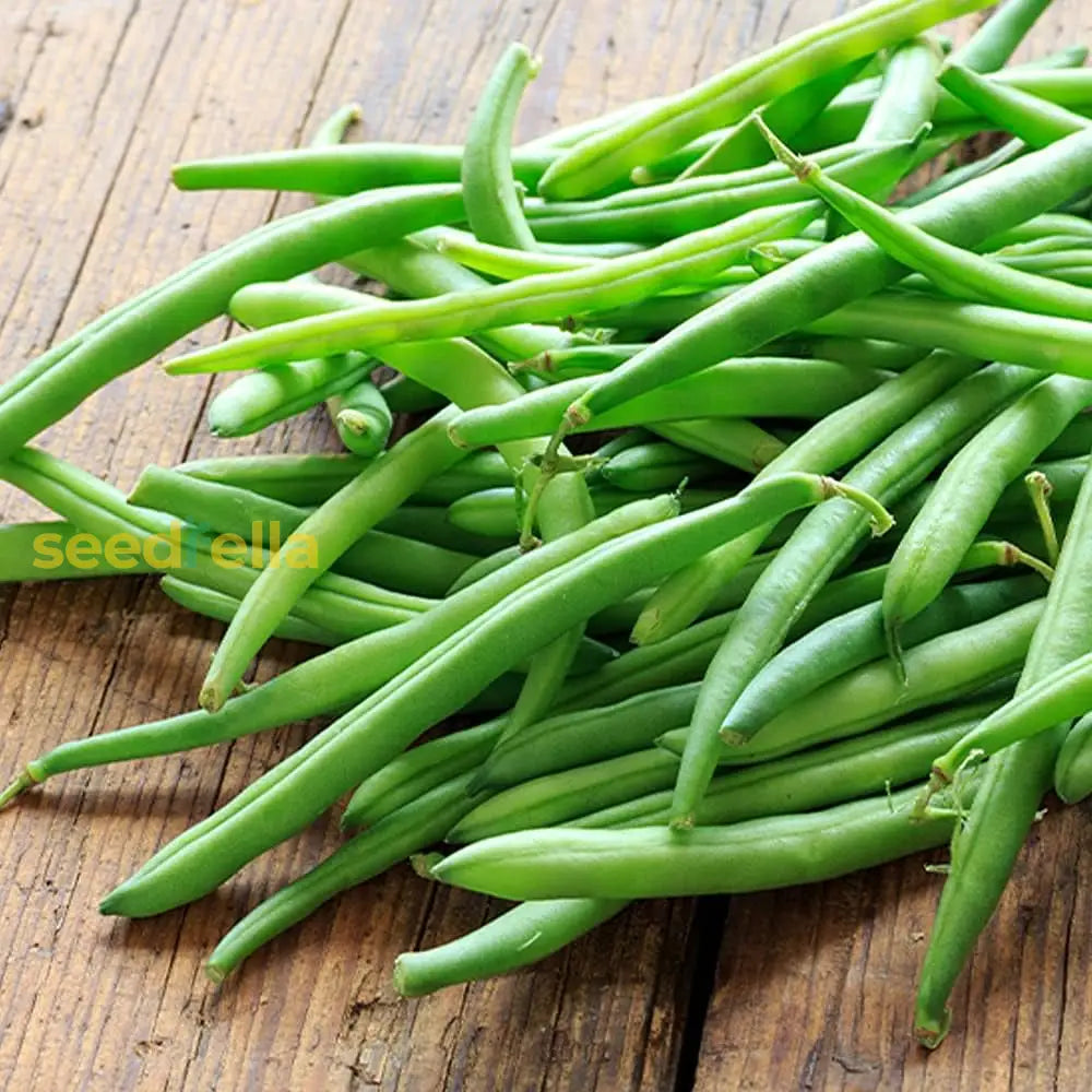 Green snap bean seeds for planting in home gardens