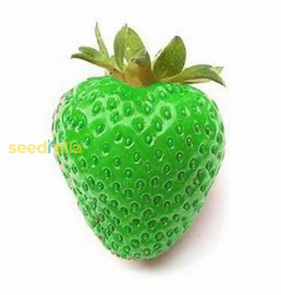 Green Strawberry Seeds For Planting Fruit