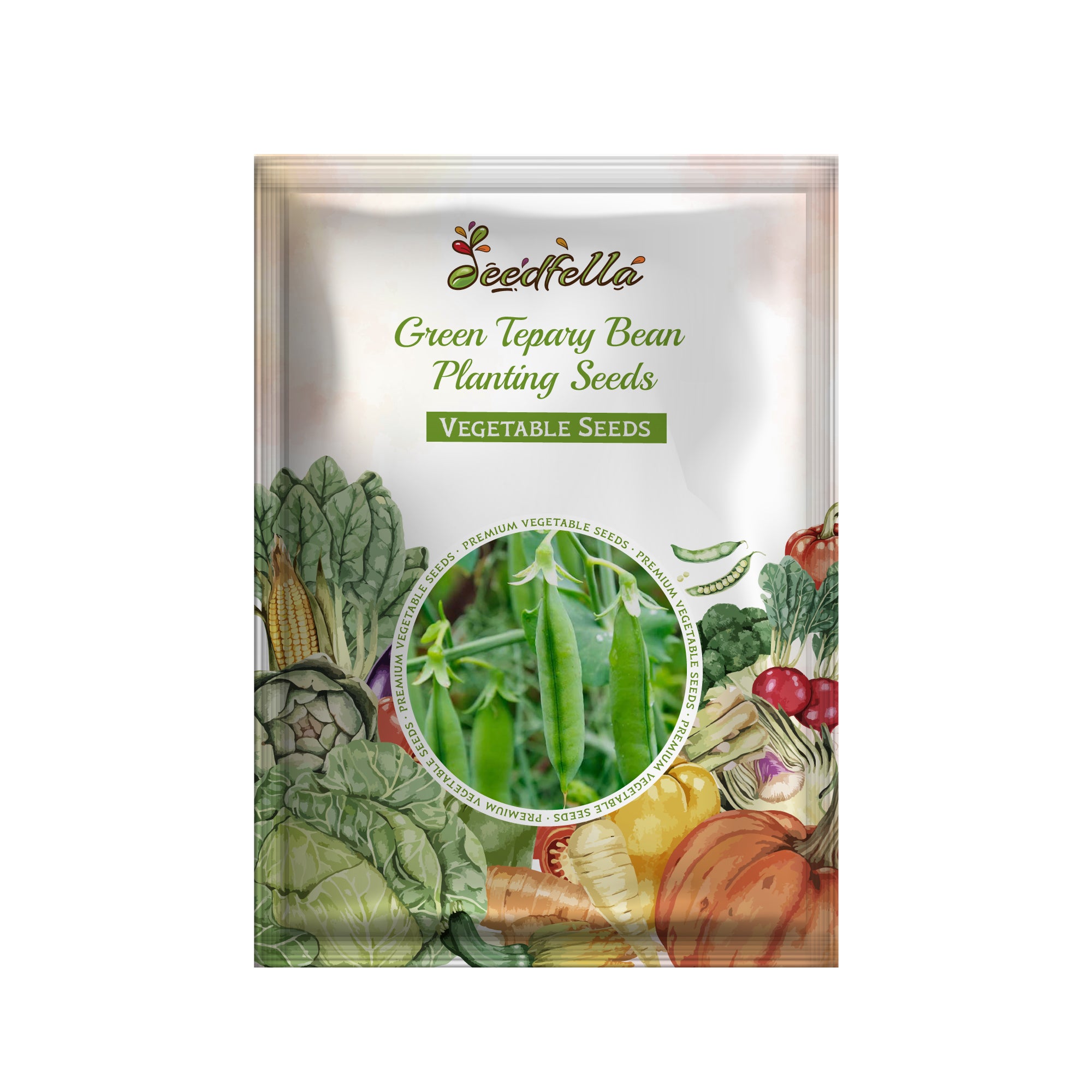 Green Tepary Bean plants growing in a garden