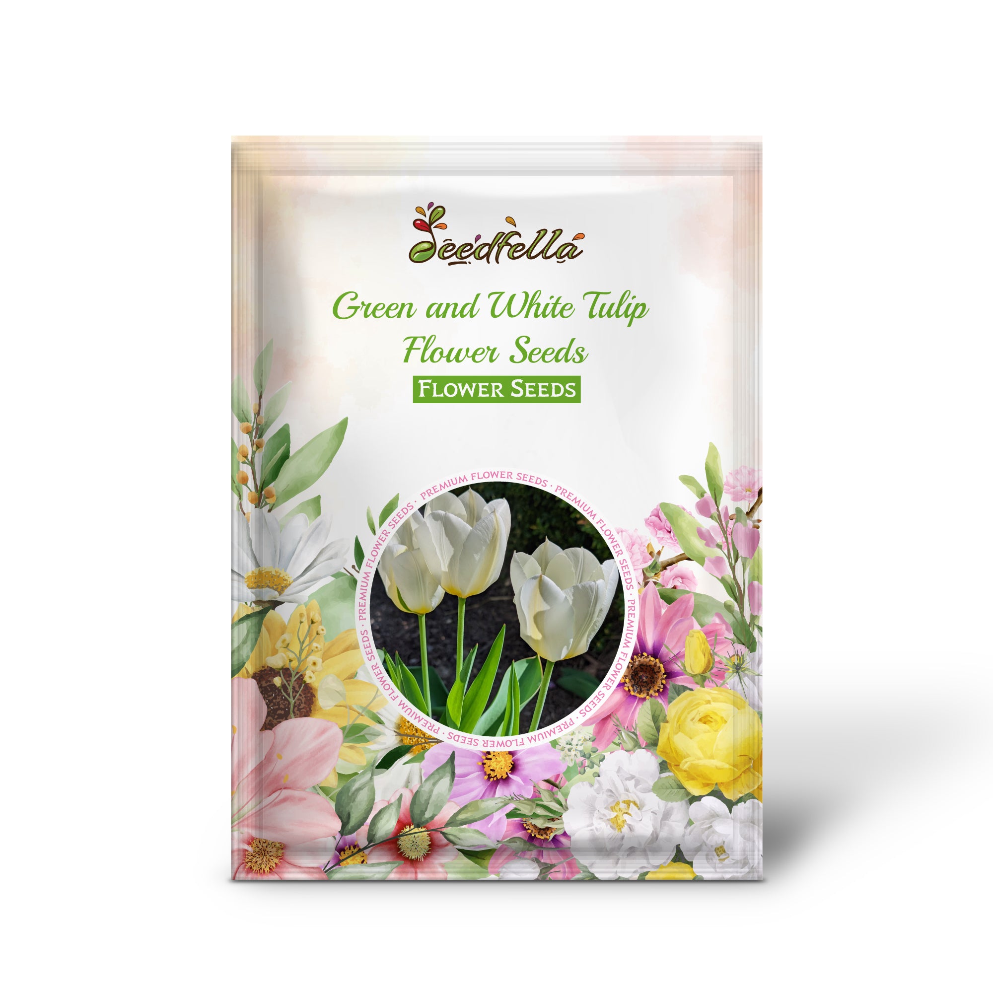 Green and White Tulip Blooms in Spring Garden