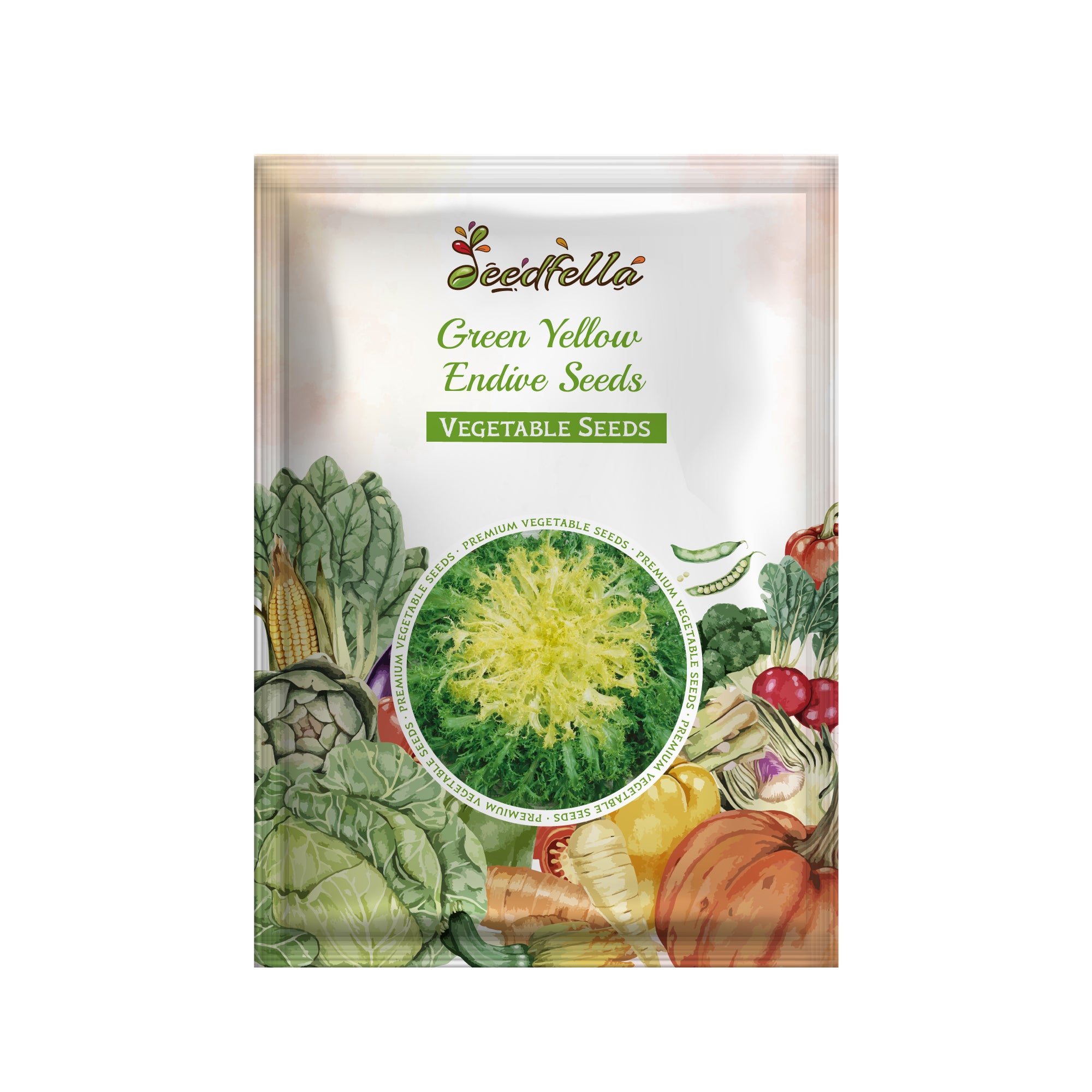 High quality Green Yellow Endive seeds closeup