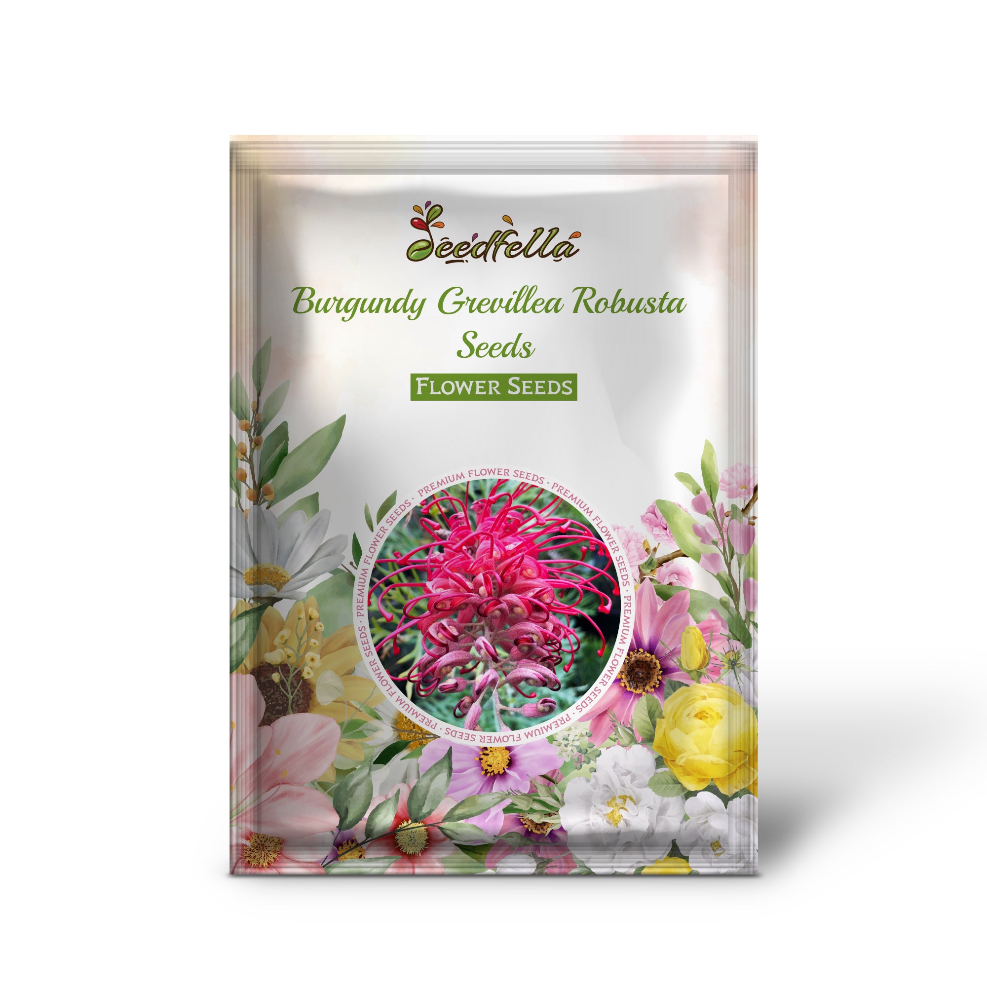 Burgundy Leaves of Grevillea Robusta Plant