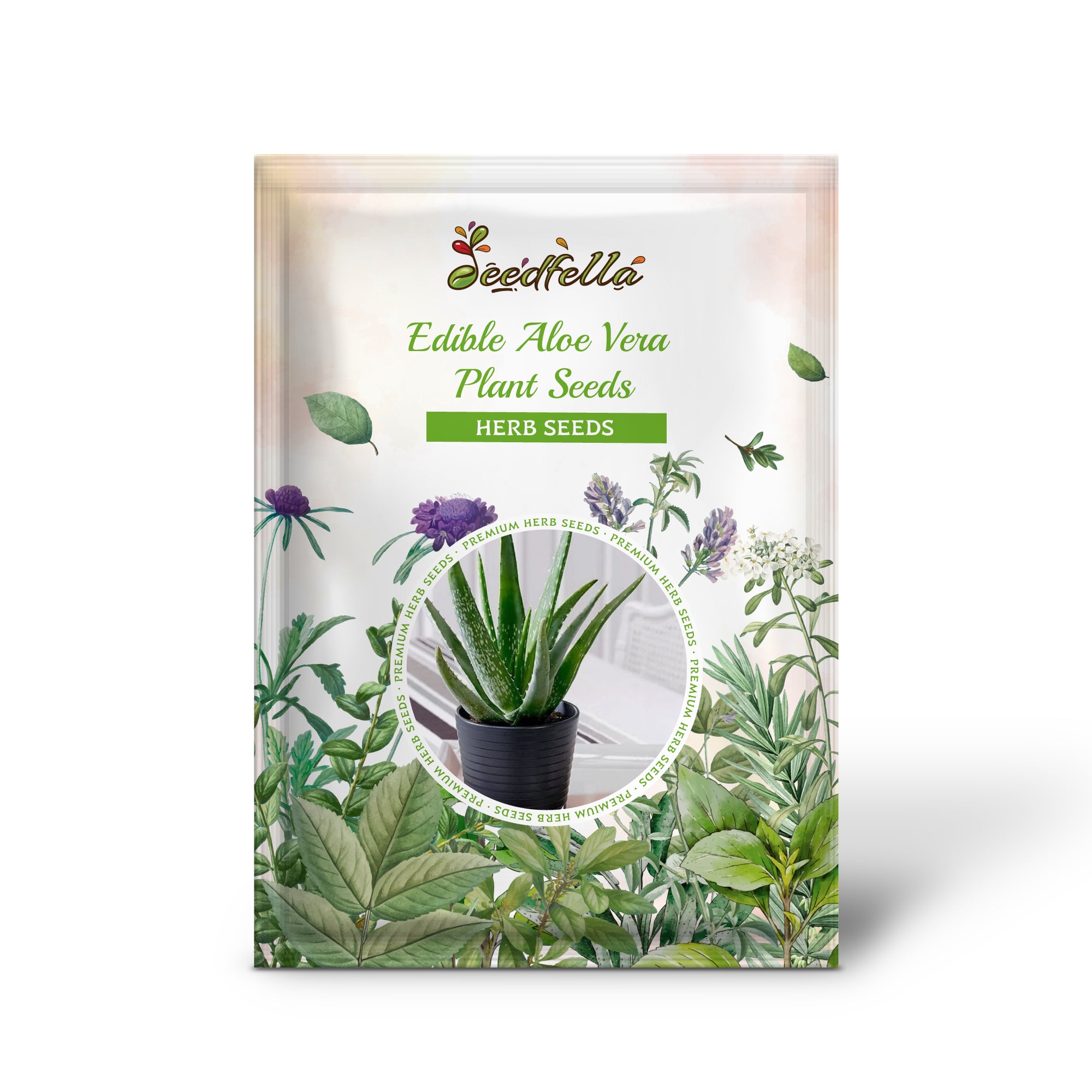 Grow edible Aloe Vera at home with easy planting seeds