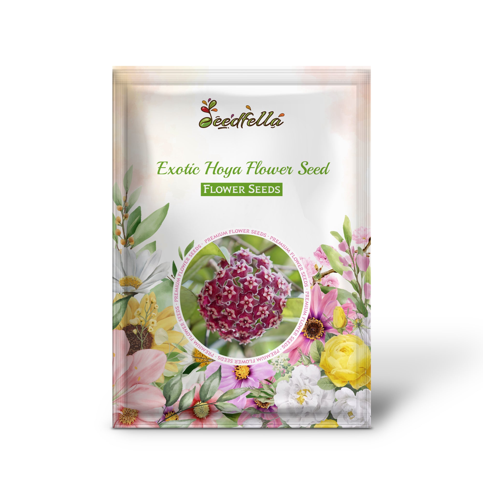 How to grow Hoya Flower Seeds indoors