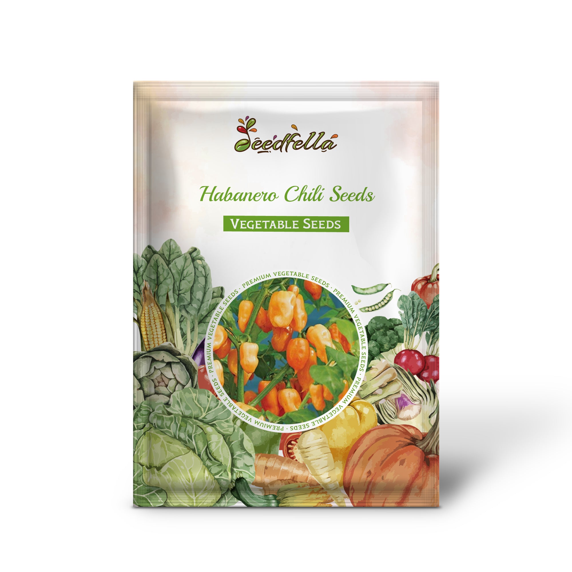 Habanero Chili seedlings growing in soil